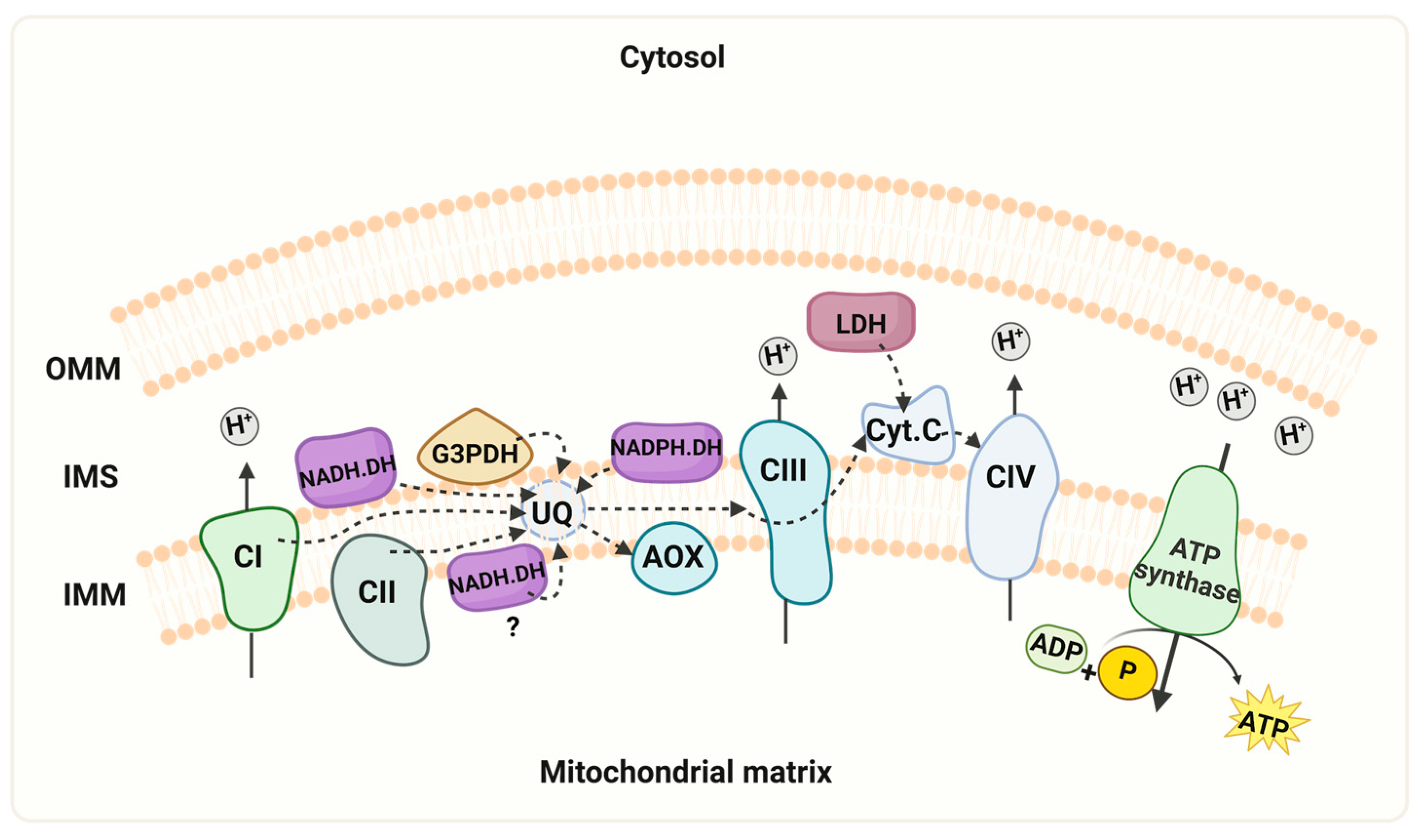 Microorganisms 12 01931 g006