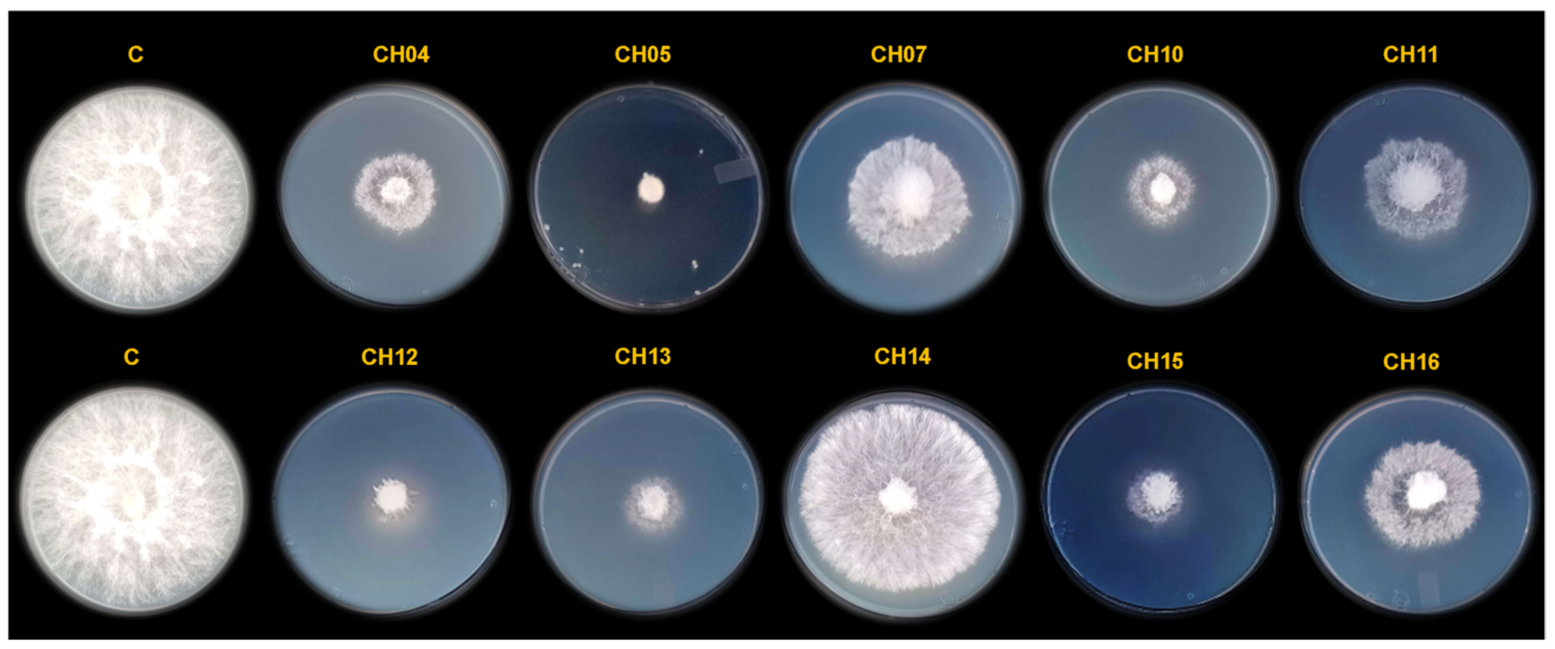 Microorganisms 12 01943 g002