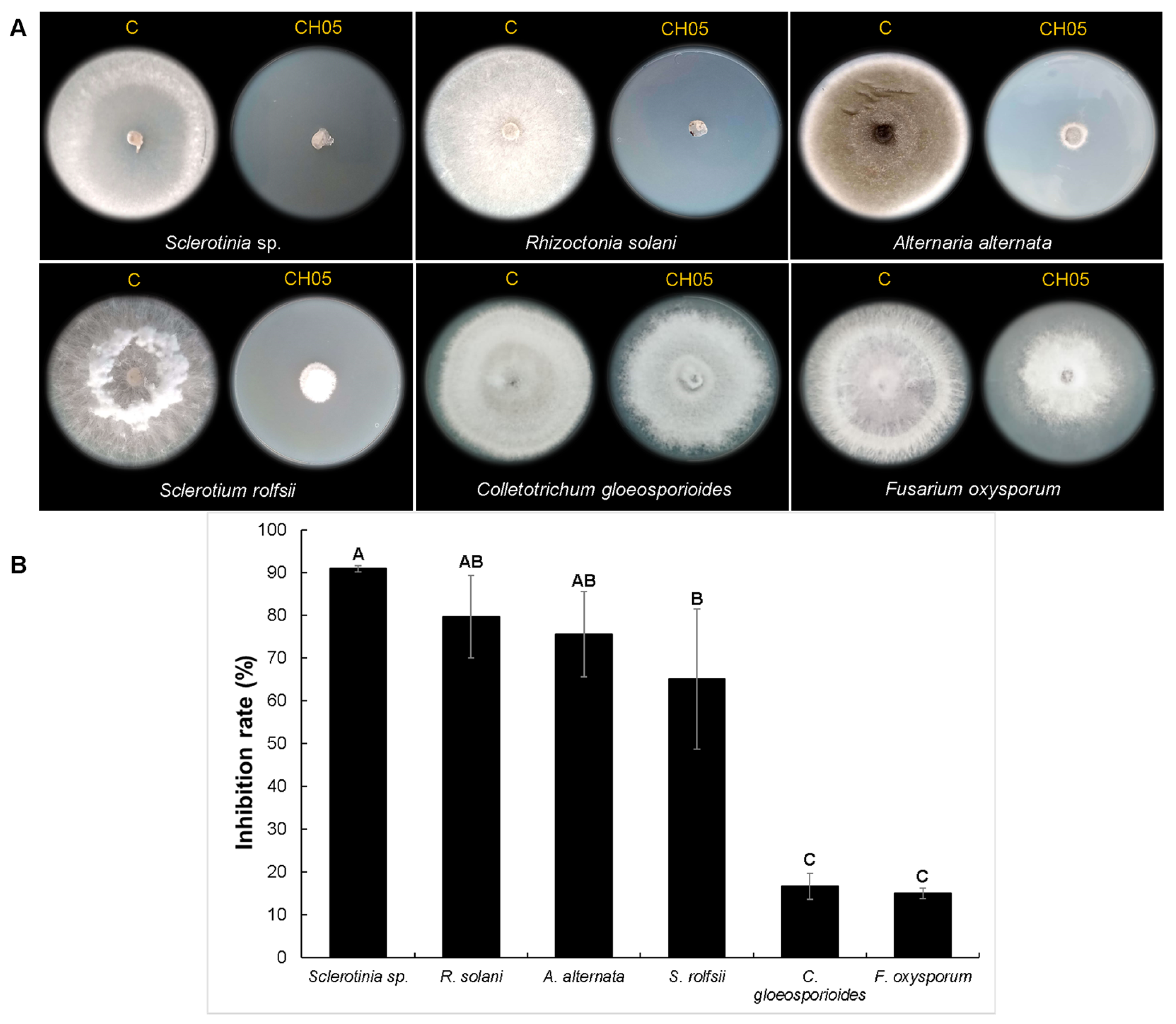Microorganisms 12 01943 g003
