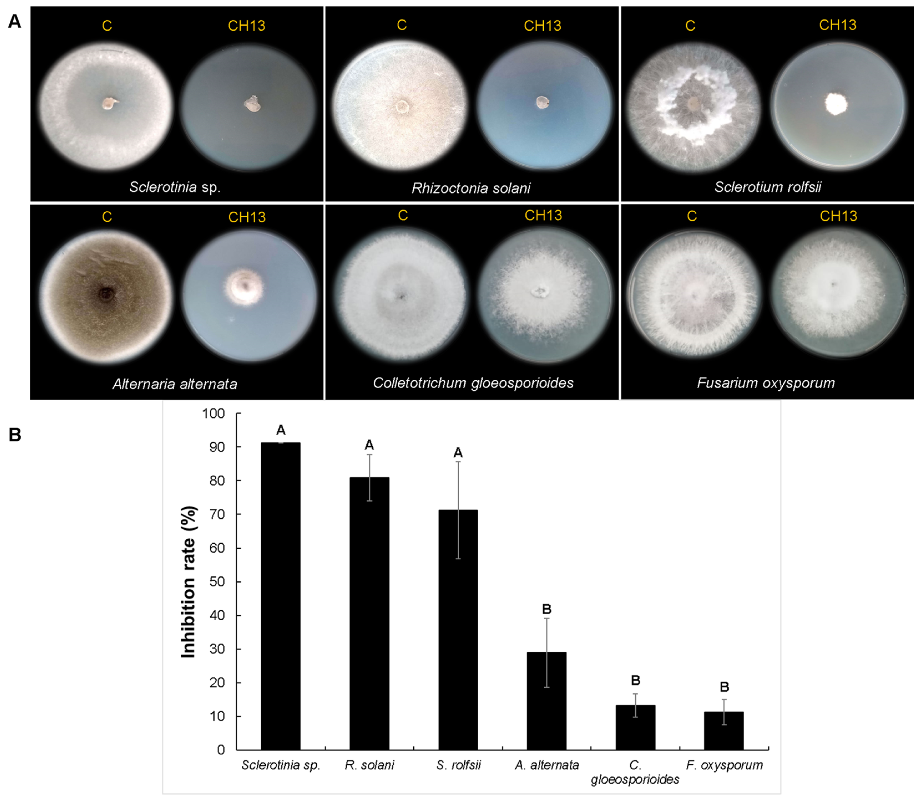 Microorganisms 12 01943 g004