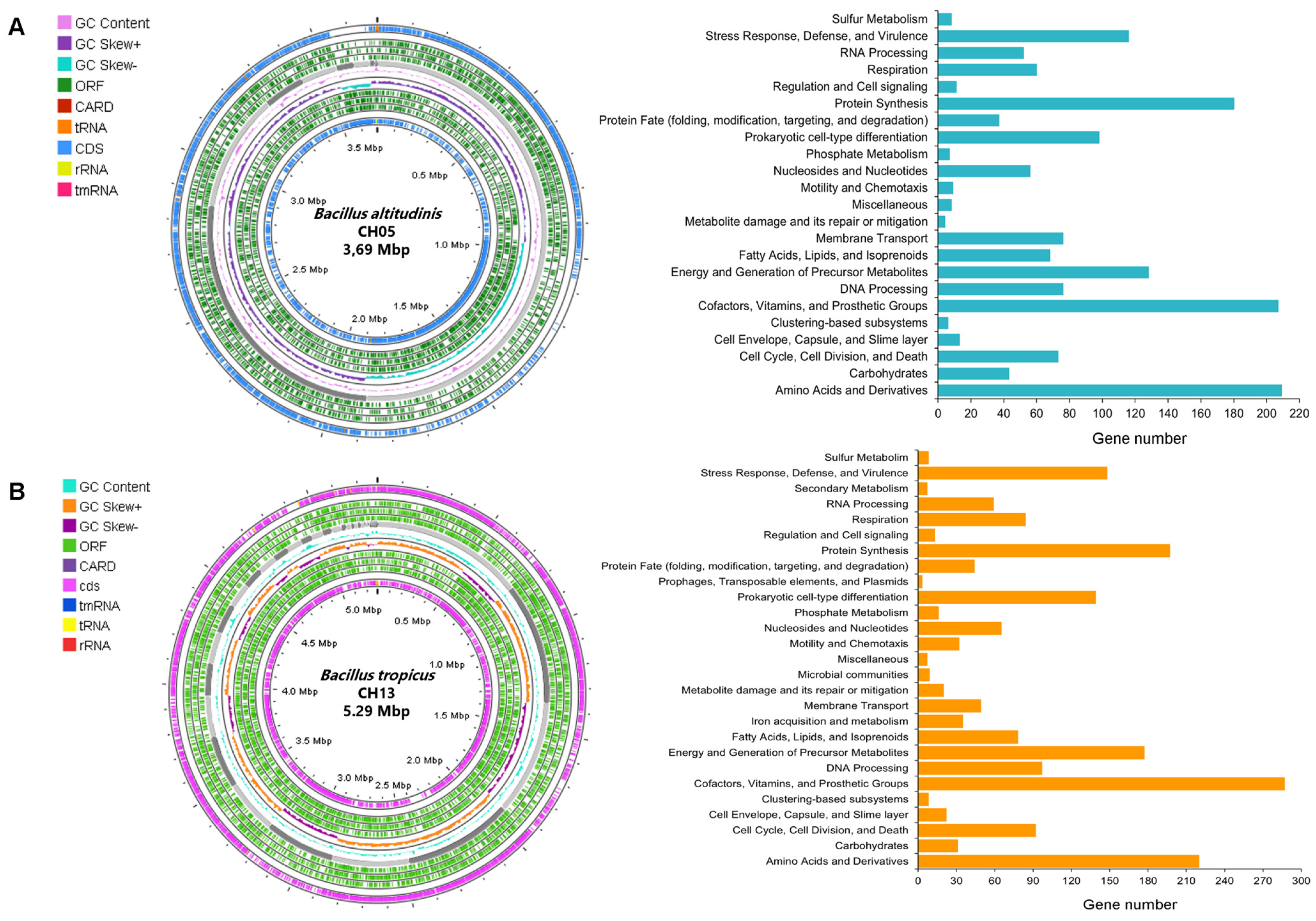Microorganisms 12 01943 g005