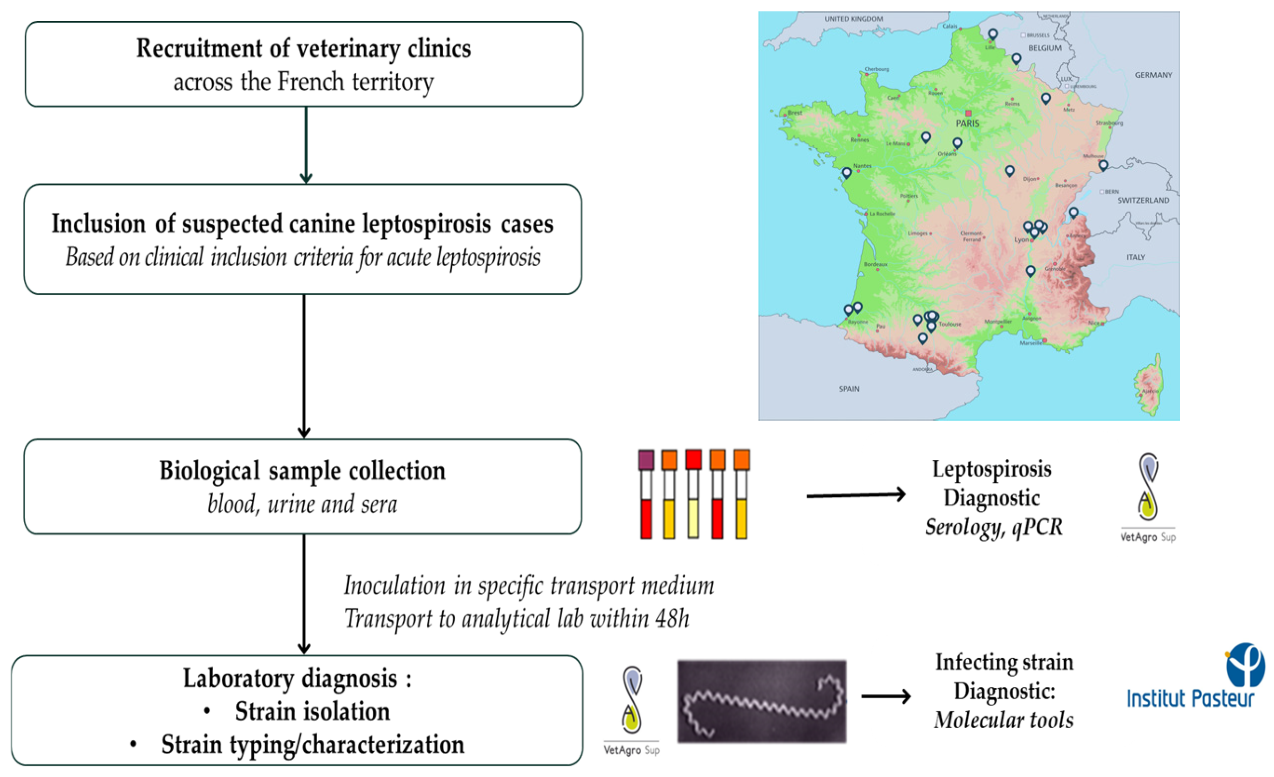 Microorganisms 12 01946 g001