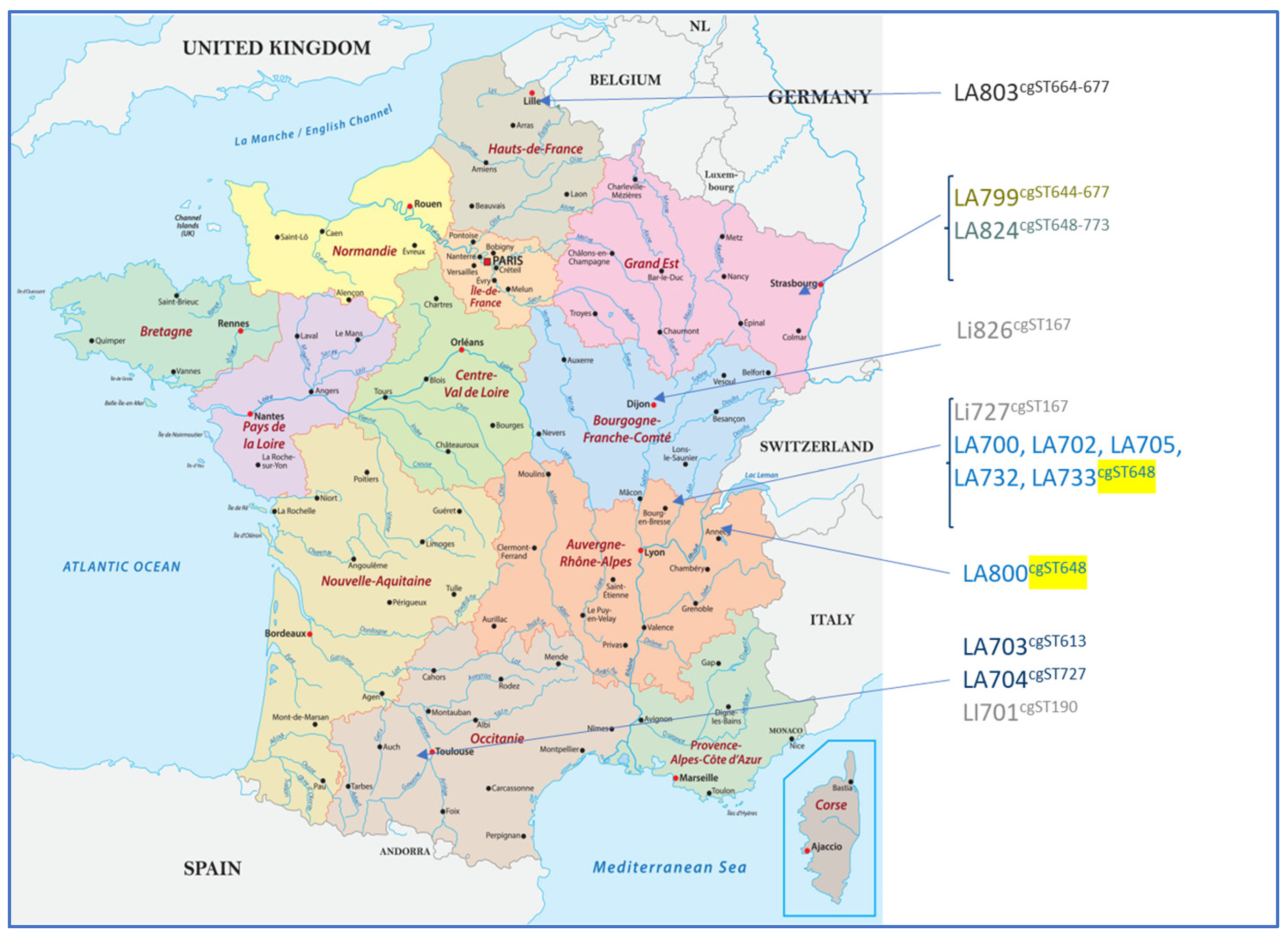 Microorganisms 12 01946 g002