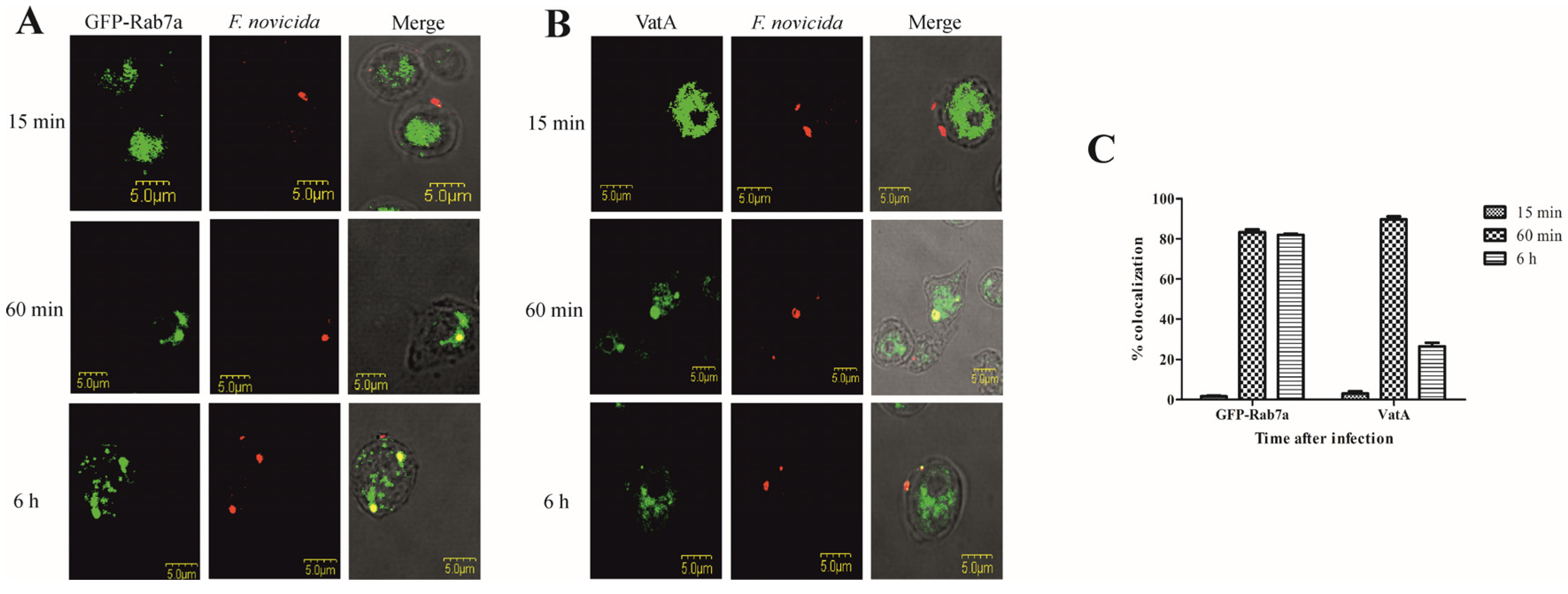 Microorganisms 12 01949 g003