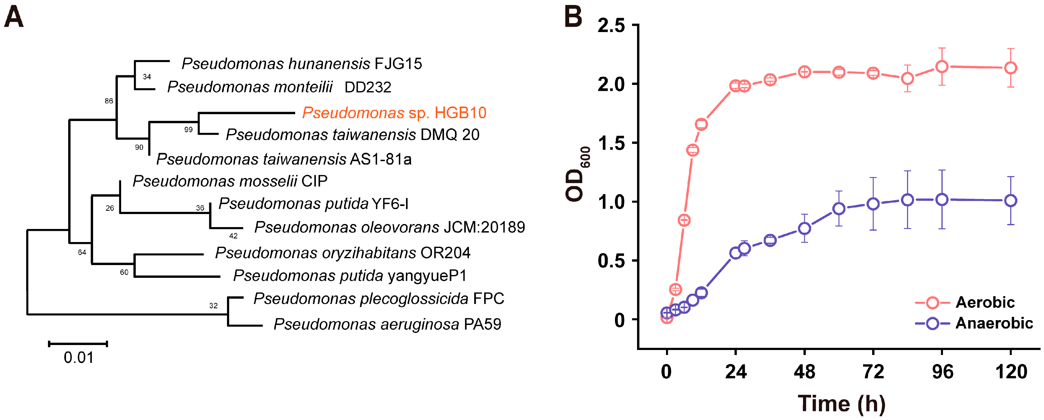 Microorganisms 12 01958 g001