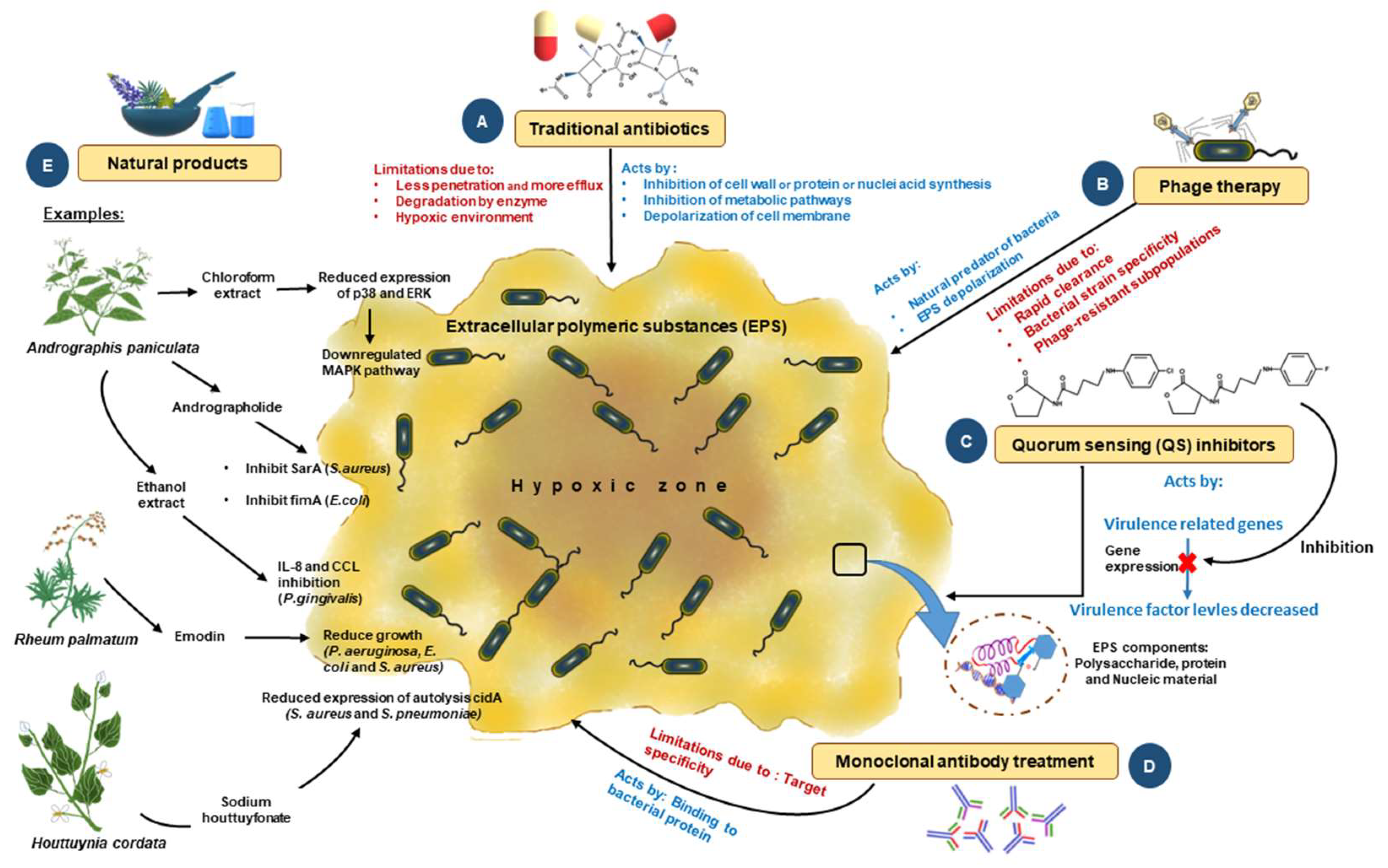 Microorganisms 12 01961 g004