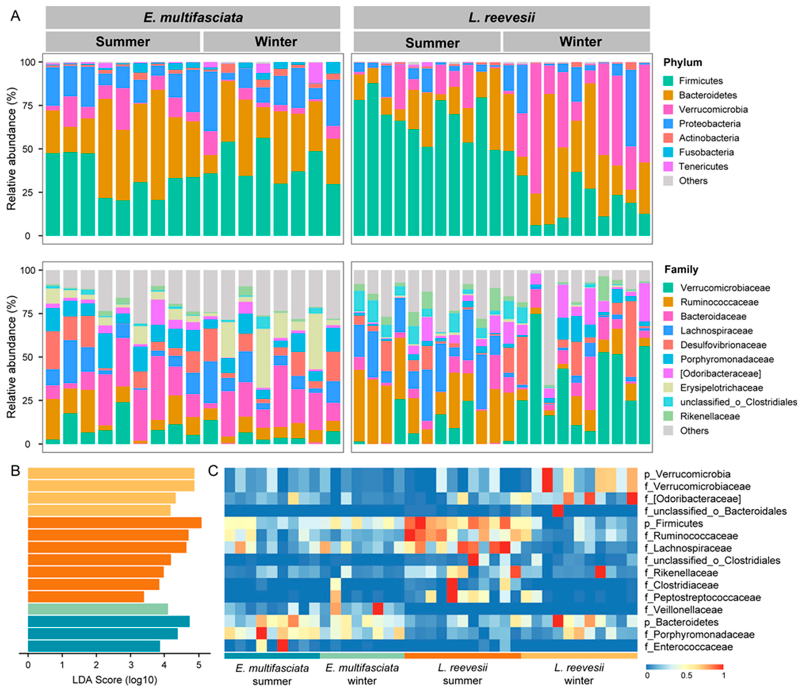 Microorganisms 12 01974 g002