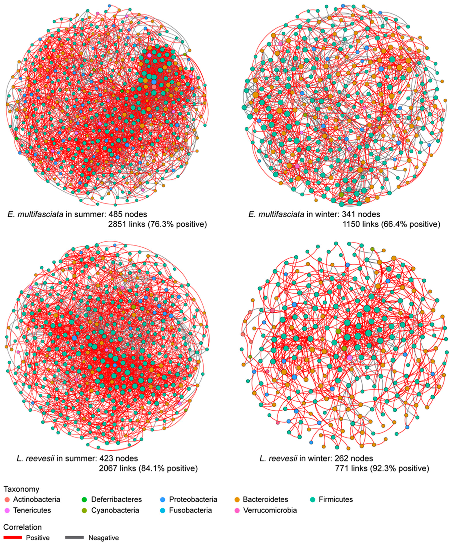 Microorganisms 12 01974 g006
