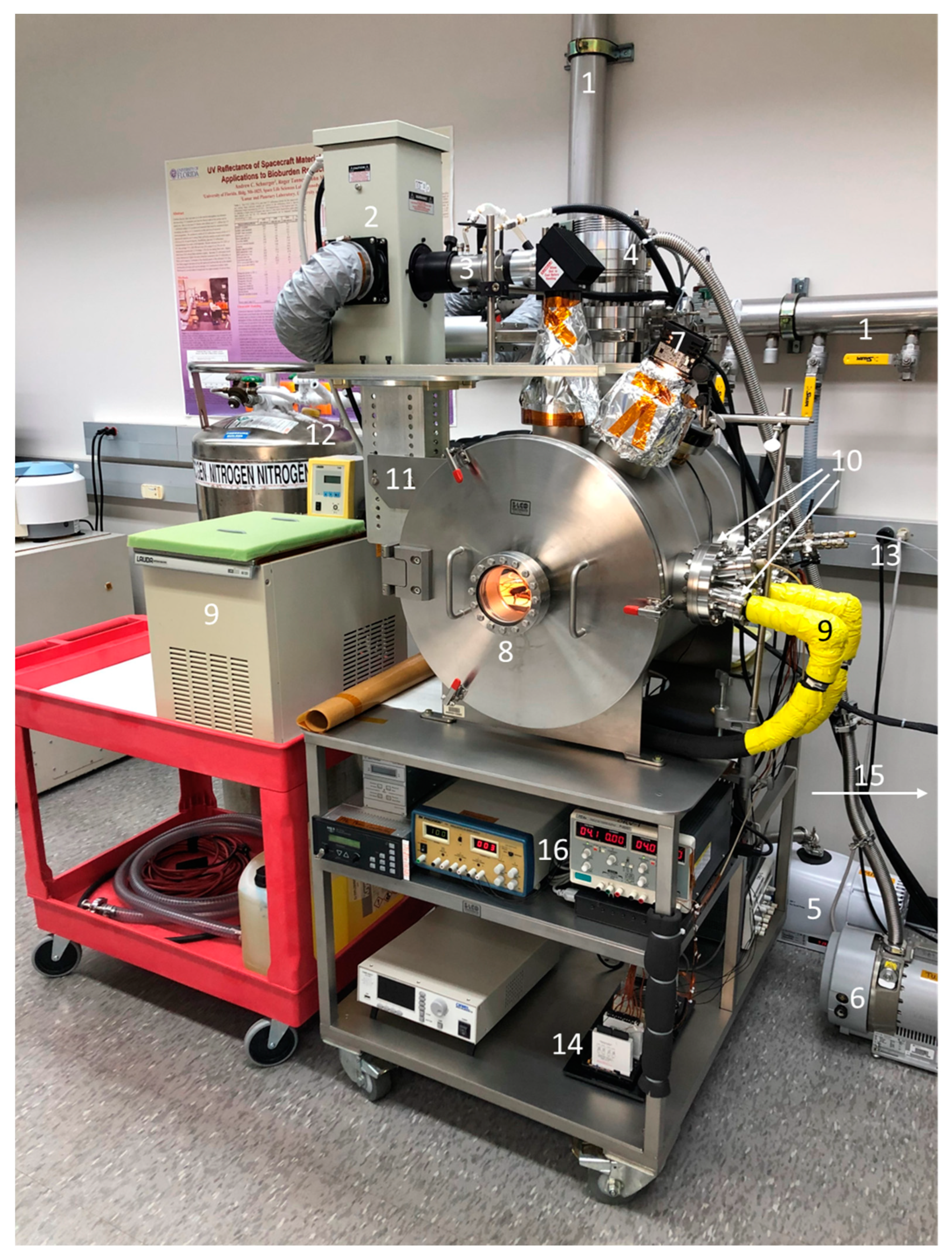 Microorganisms 12 01976 g001 Microorganisms 12 01976 g001