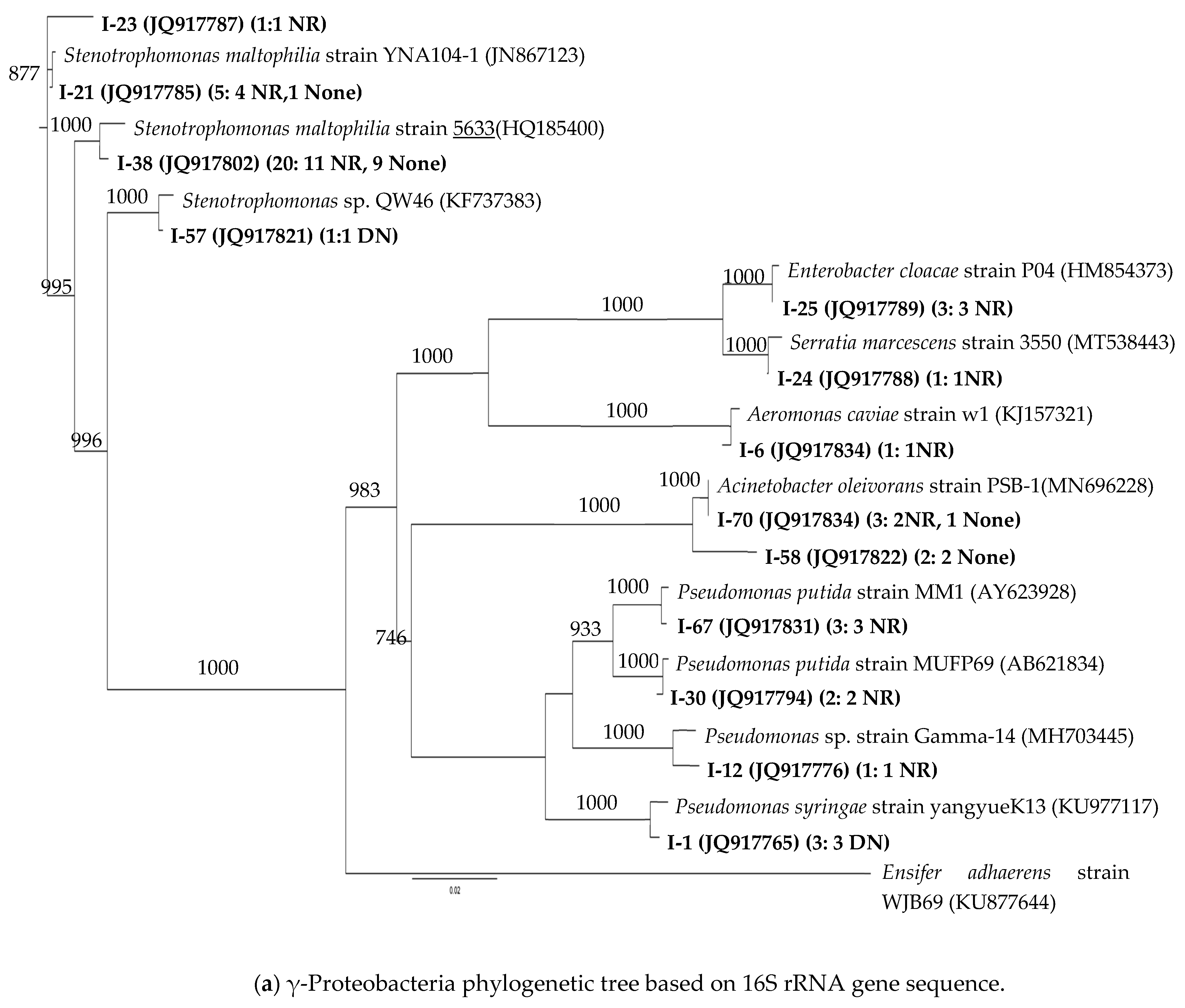 Microorganisms 12 01981 g002a
