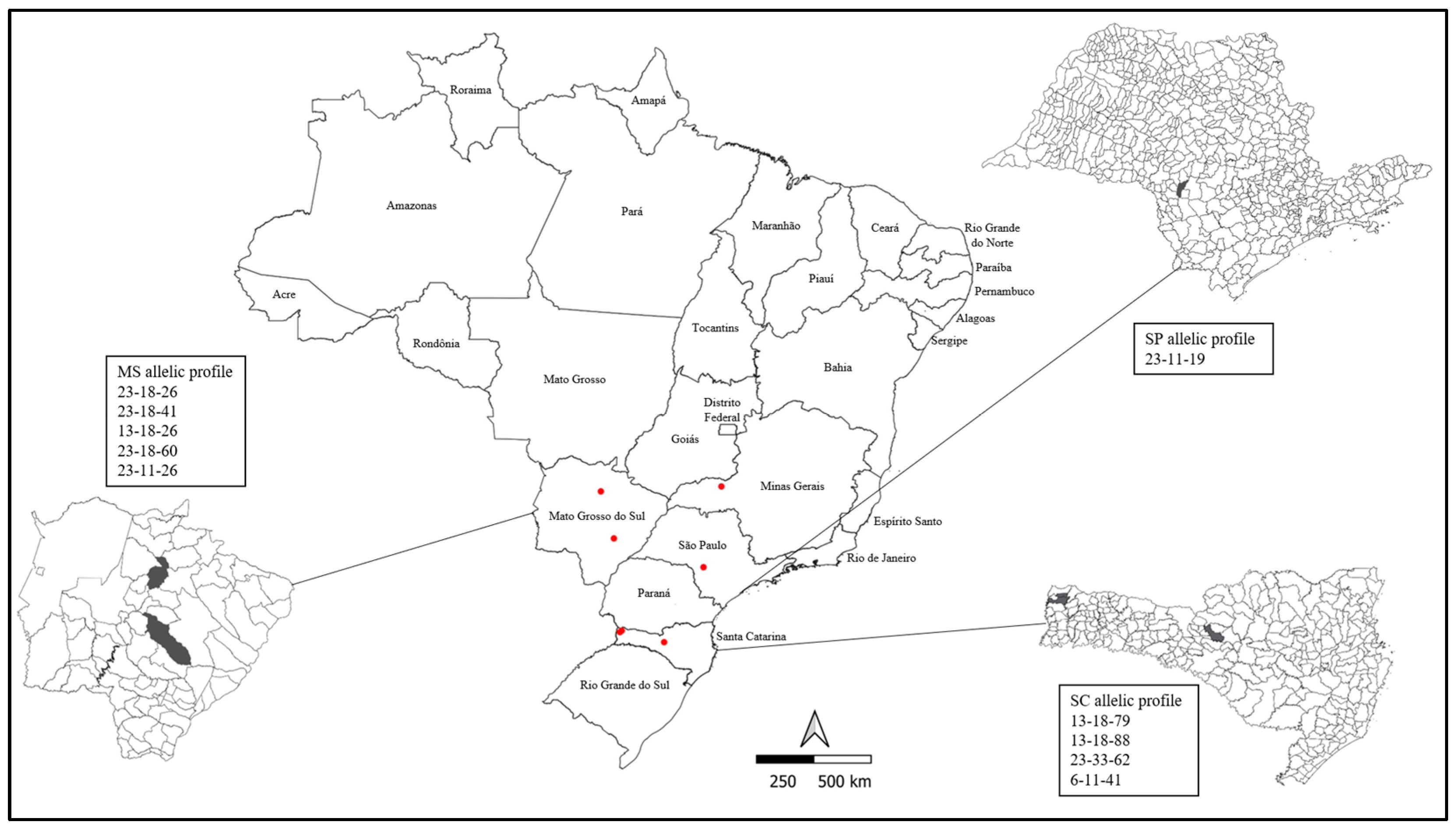 Microorganisms 12 01988 g001
