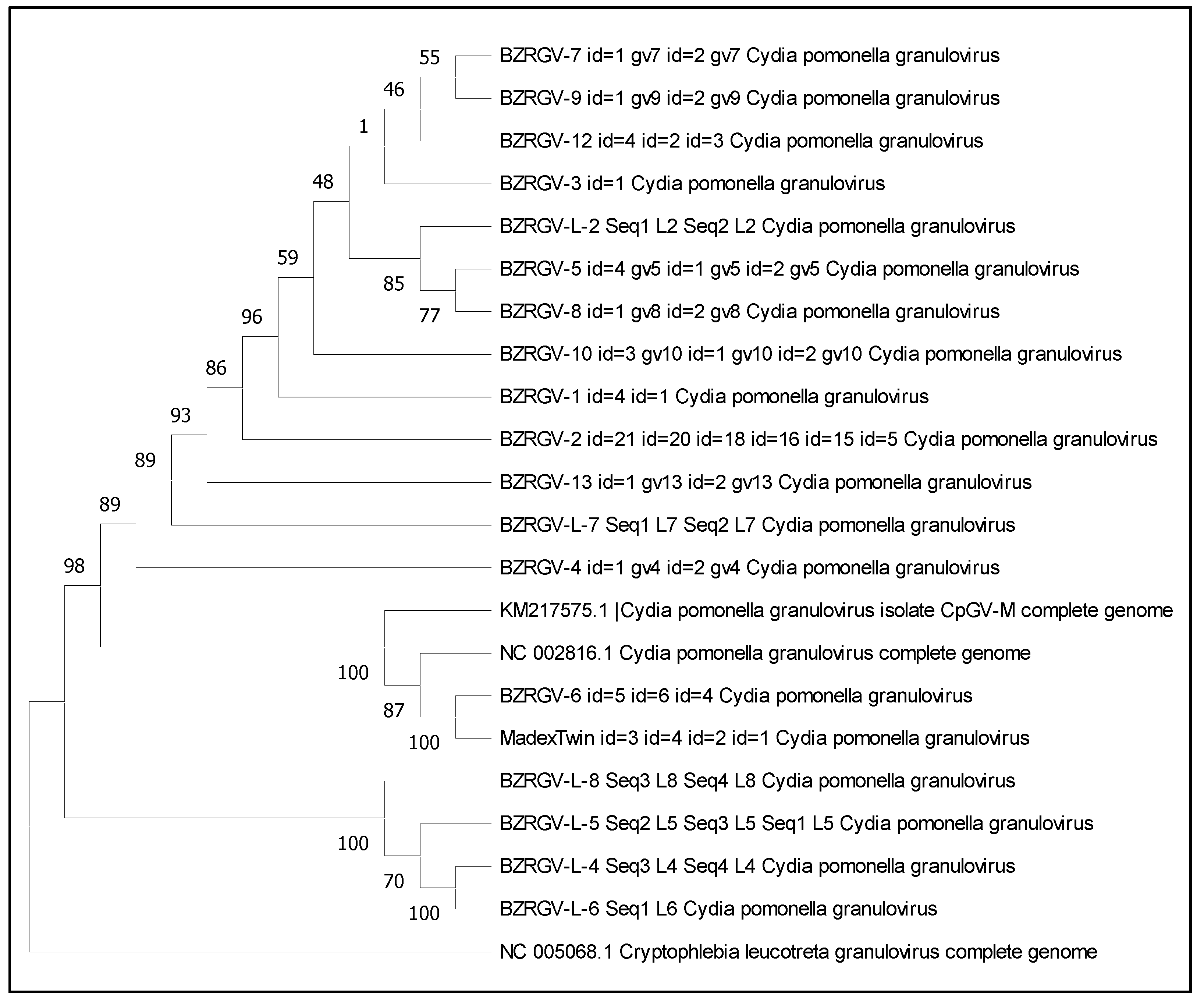 Microorganisms 12 01991 g002 Microorganisms 12 01991 g002