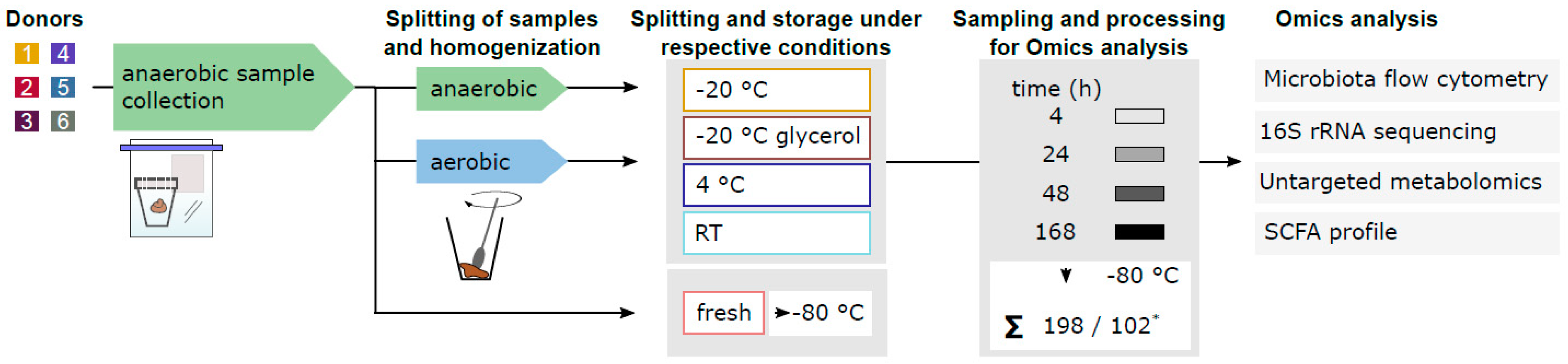 Microorganisms 12 01998 g001