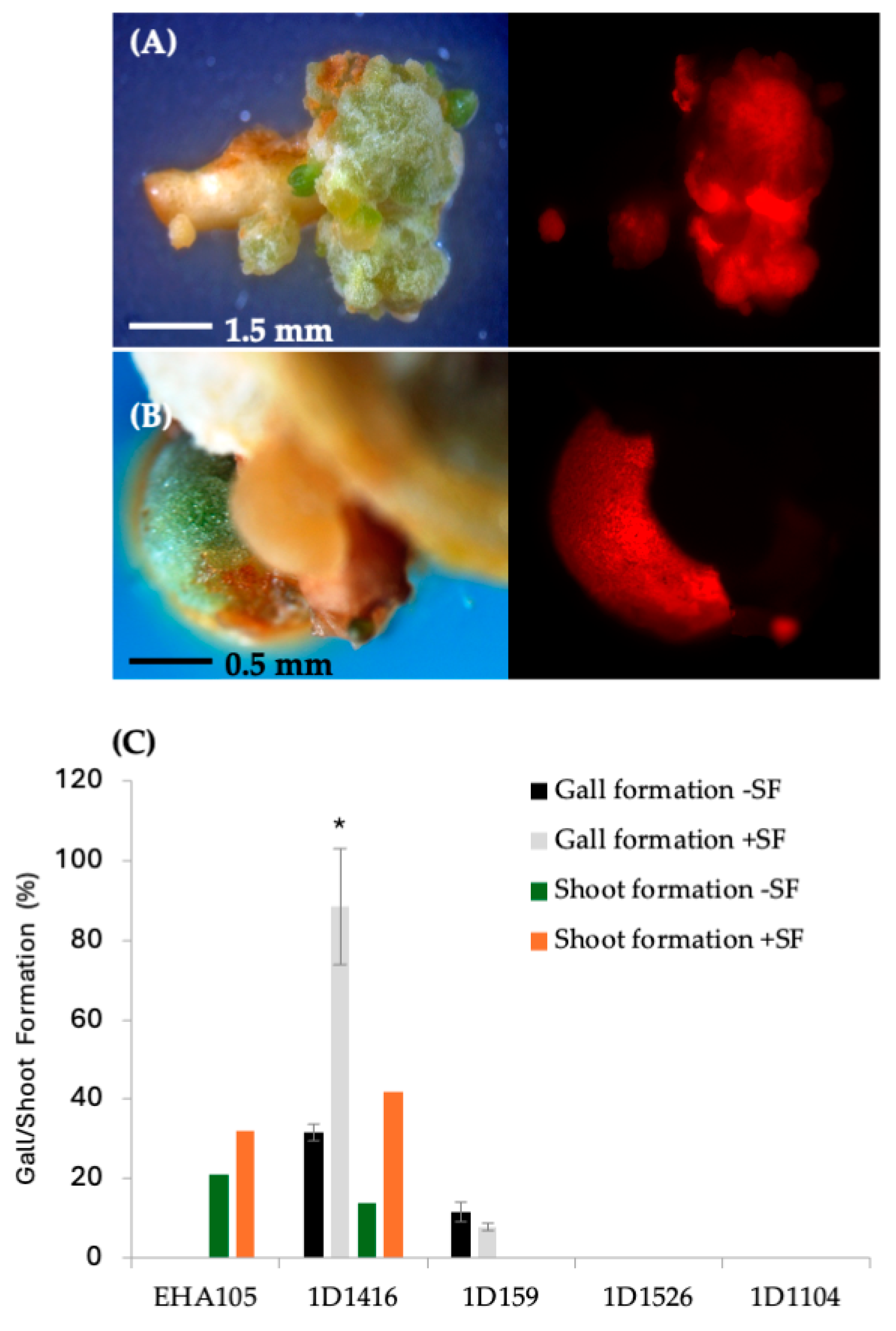 Microorganisms 12 01999 g003