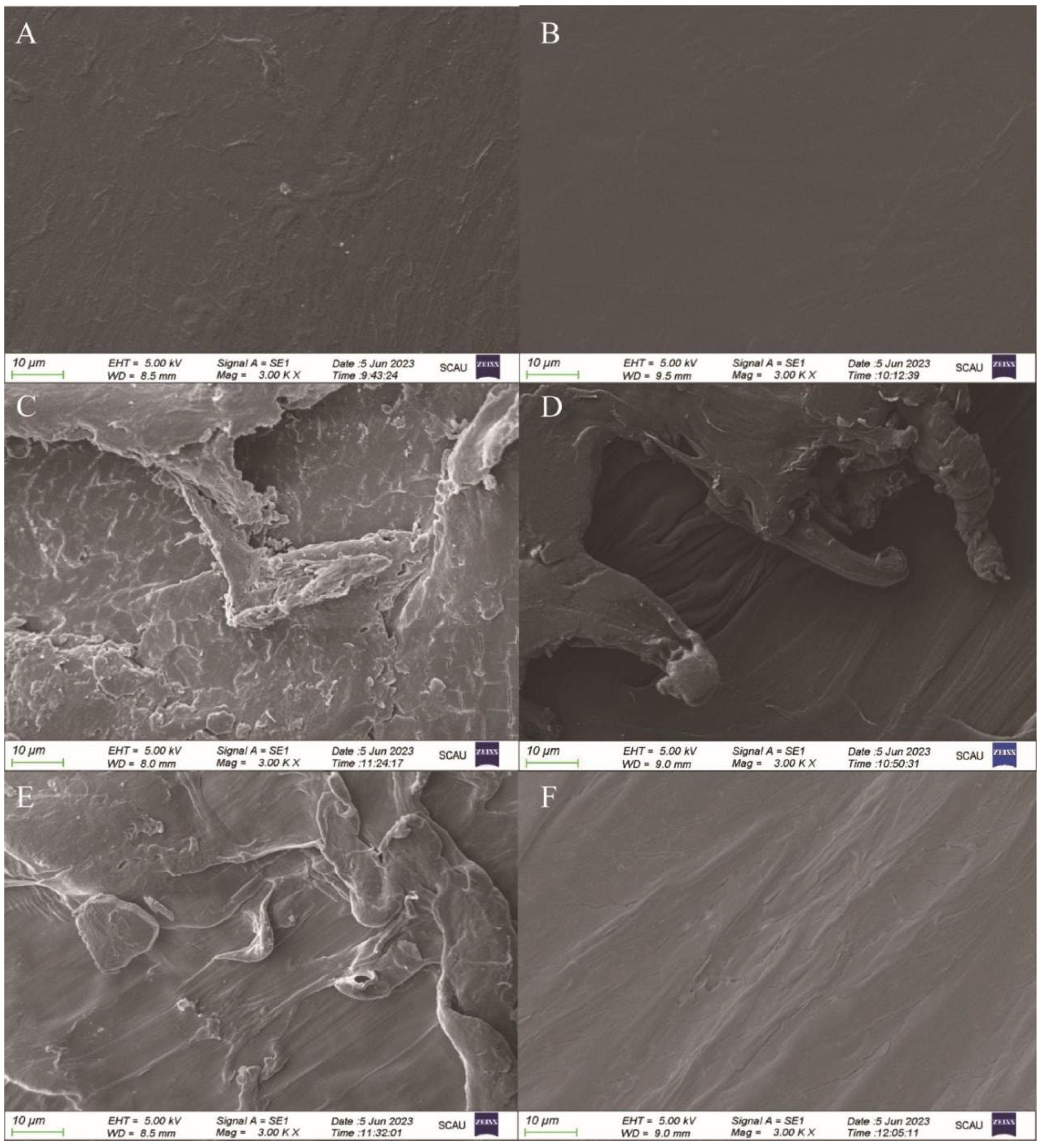 Microorganisms 12 02005 g005