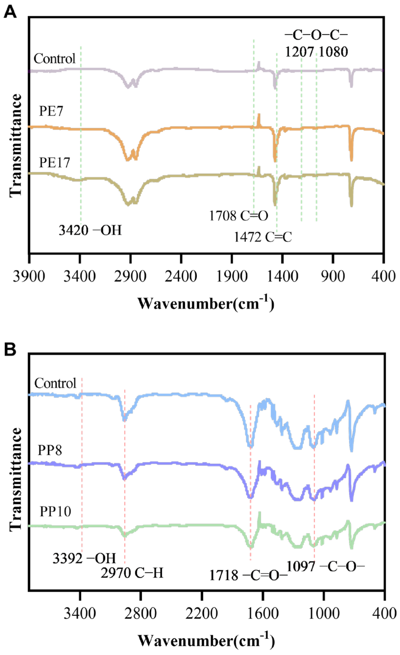 Microorganisms 12 02005 g008