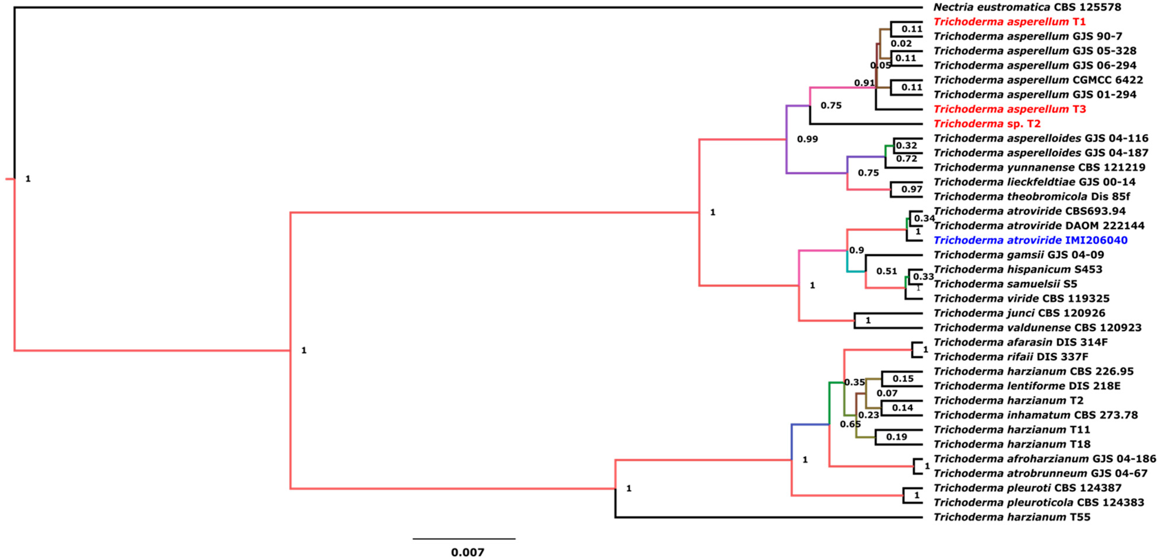 Microorganisms 12 02007 g001 Microorganisms 12 02007 g001
