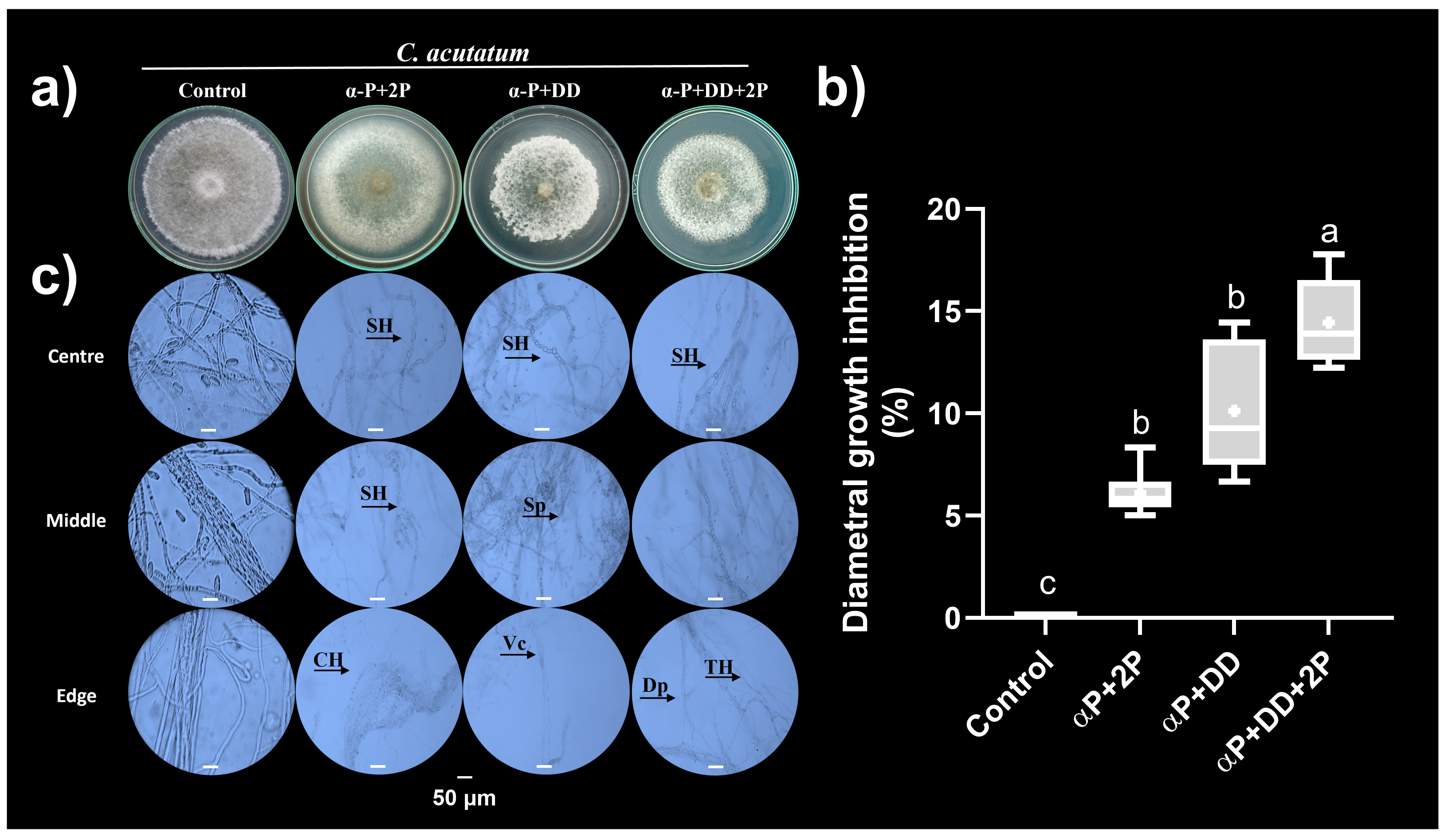 Microorganisms 12 02007 g005 Microorganisms 12 02007 g005