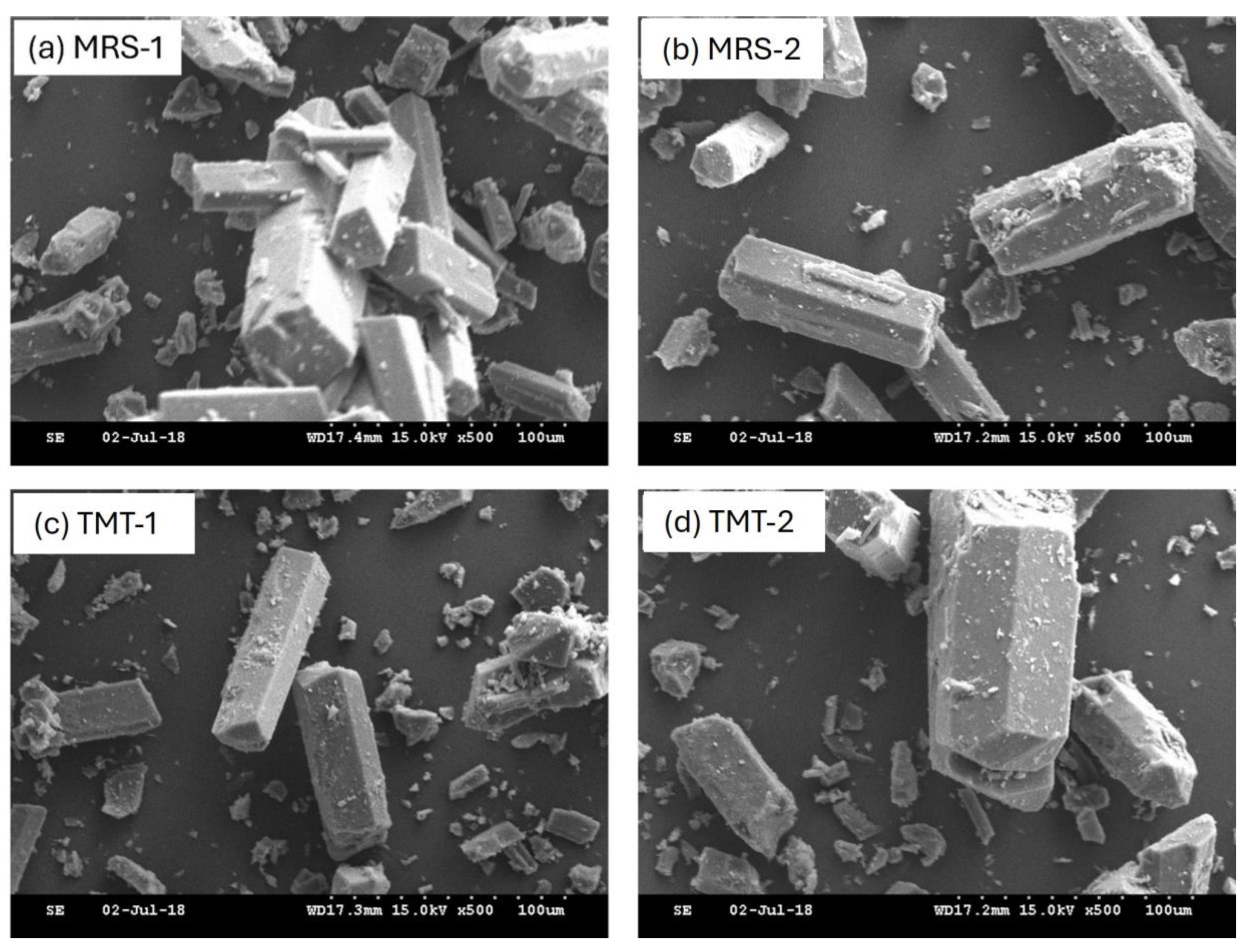 Microorganisms 12 02011 g006