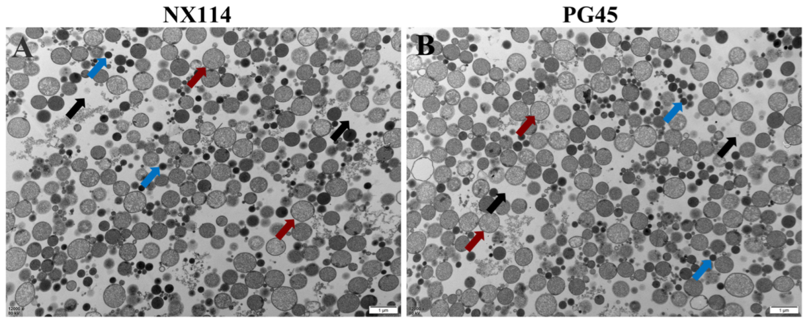 Microorganisms 12 02012 g001 Microorganisms 12 02012 g001