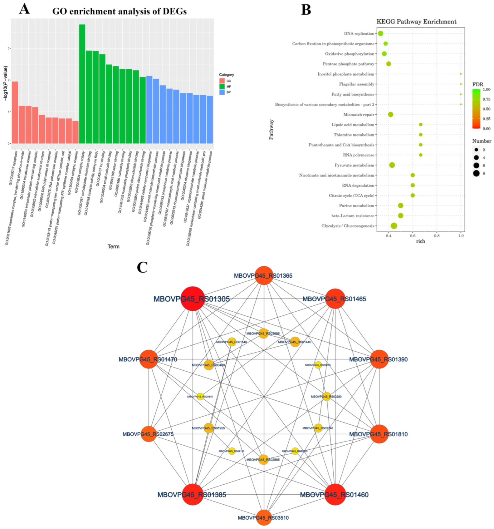Microorganisms 12 02012 g004 Microorganisms 12 02012 g004