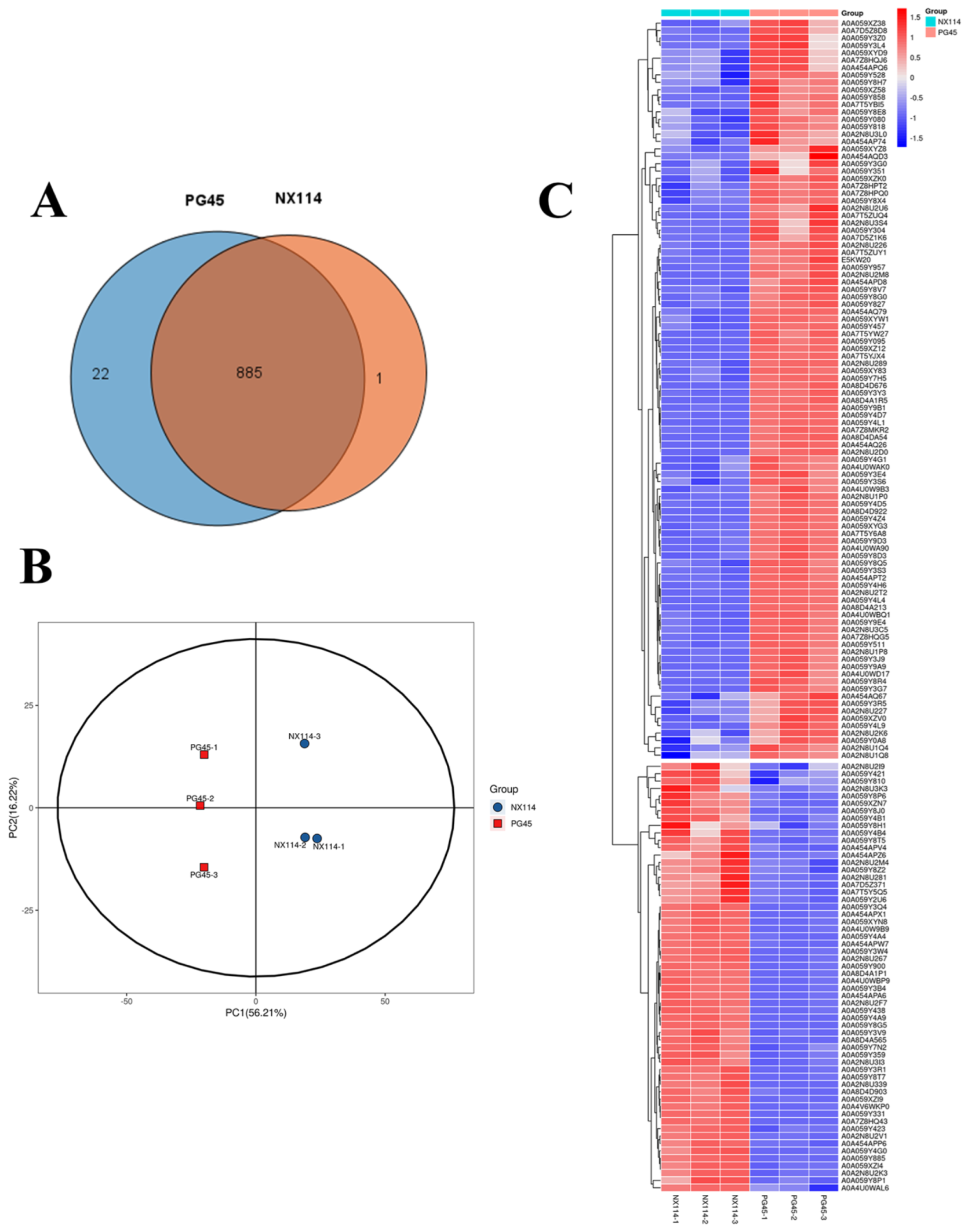 Microorganisms 12 02012 g005 Microorganisms 12 02012 g005
