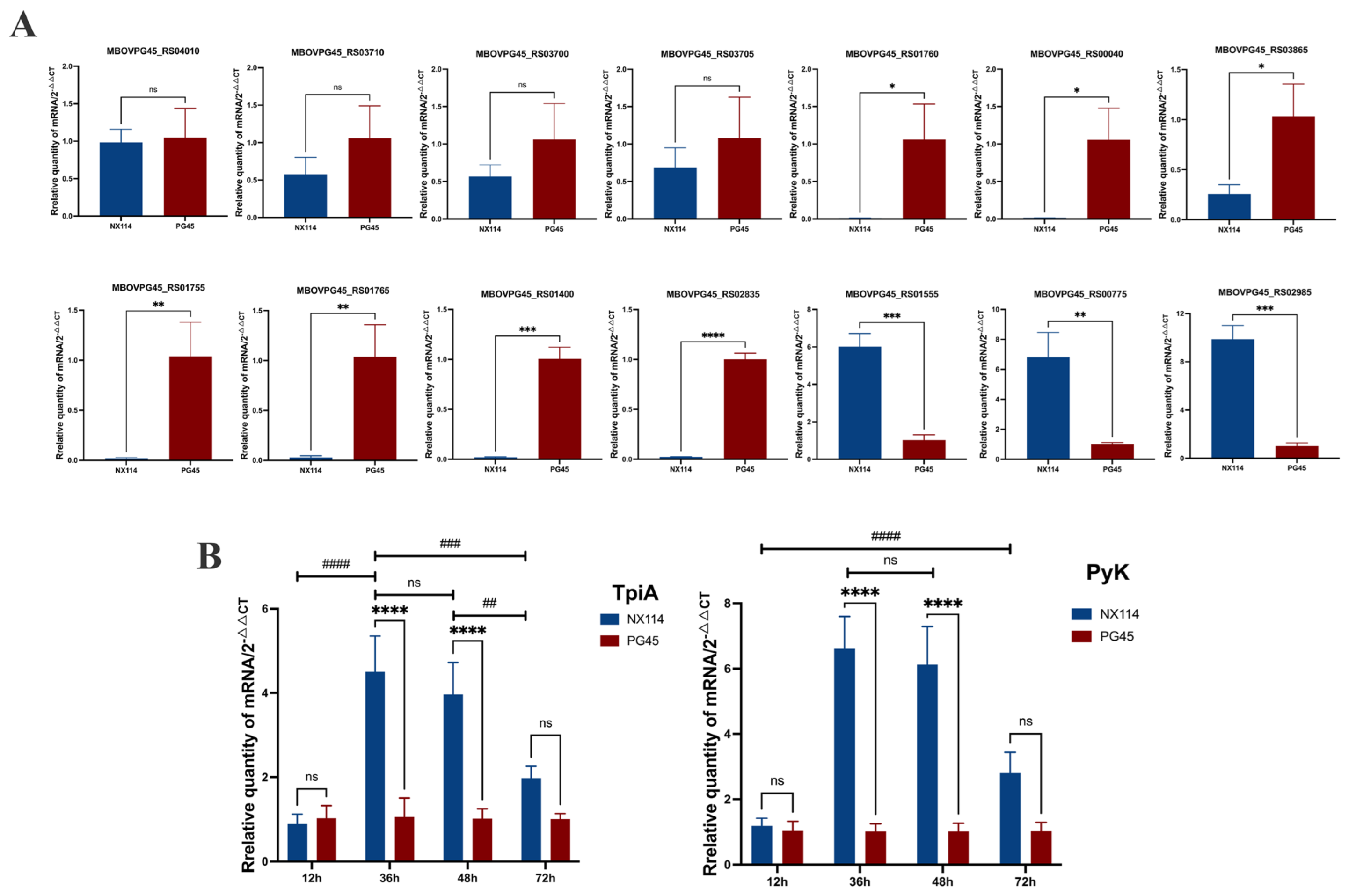 Microorganisms 12 02012 g011 Microorganisms 12 02012 g011