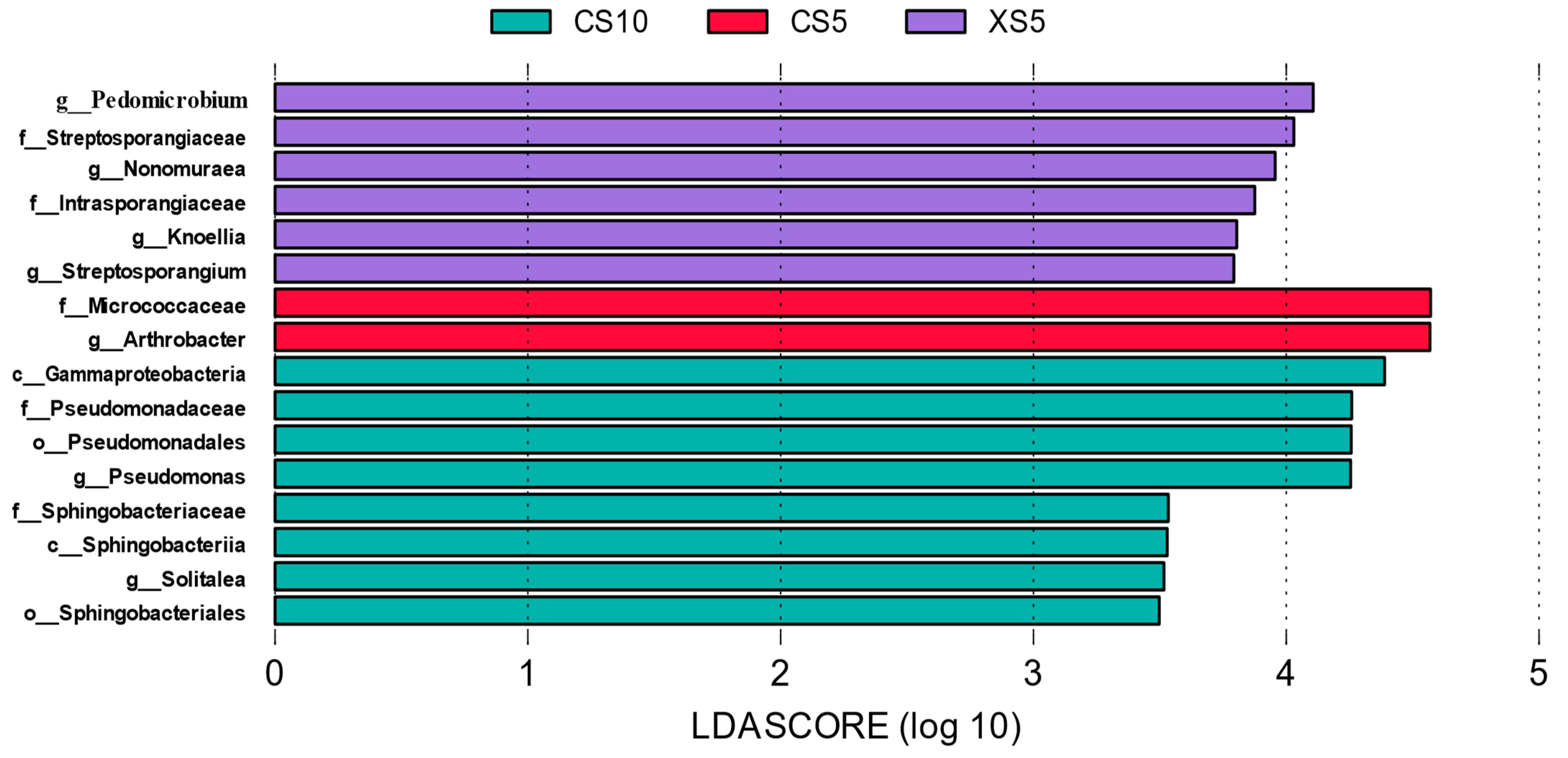 Microorganisms 12 02022 g004
