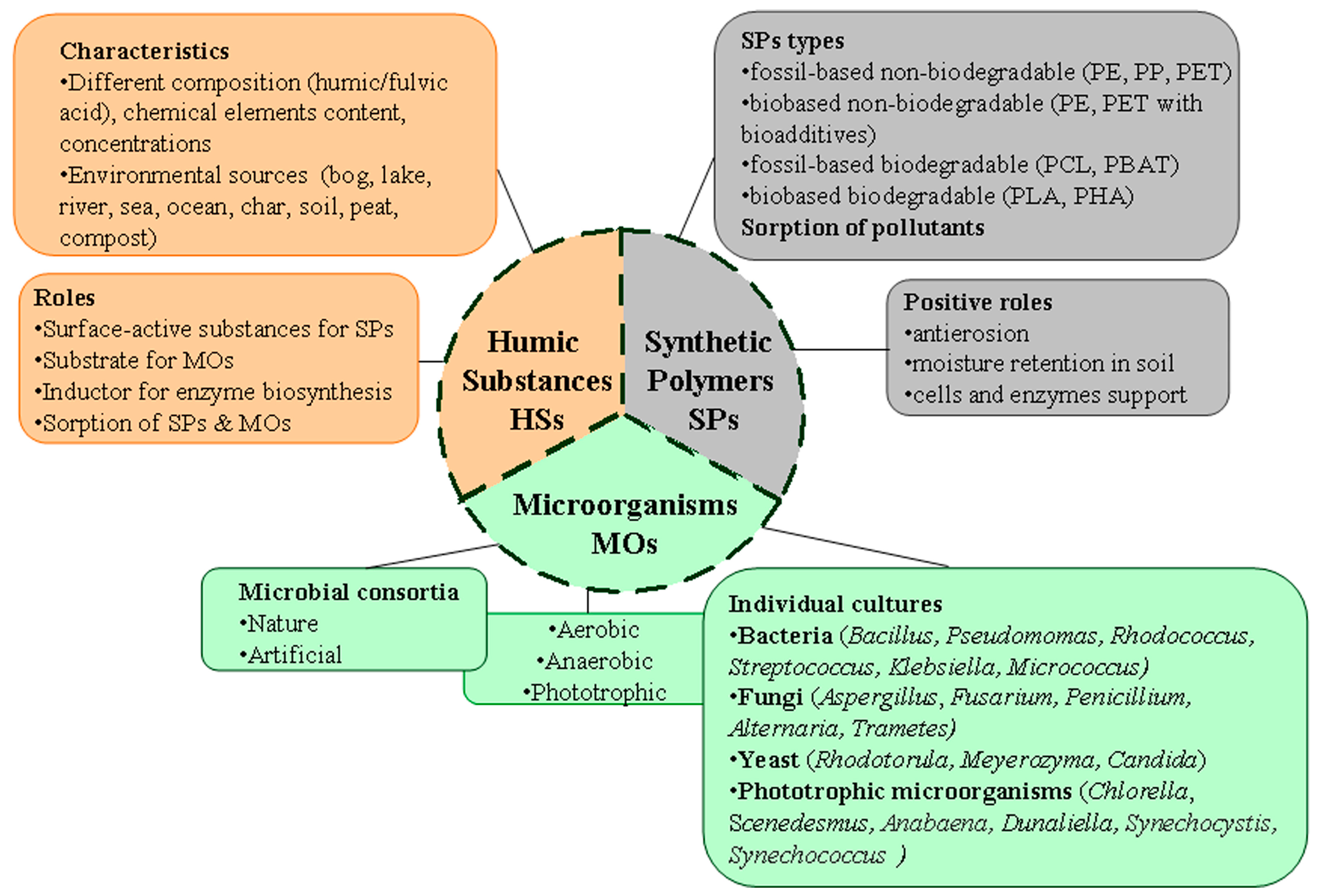 Microorganisms 12 02024 g001