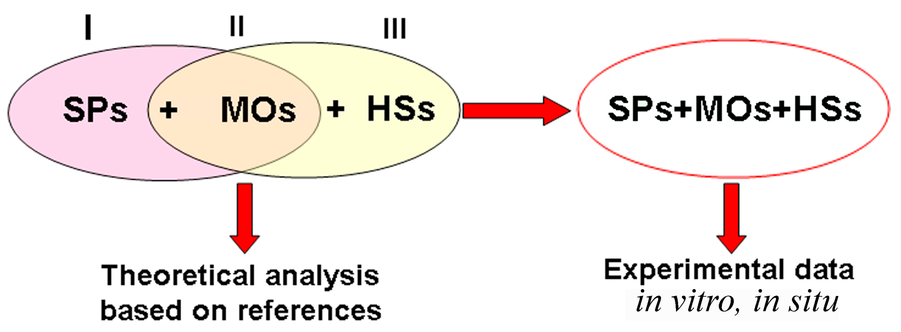 Microorganisms 12 02024 g002
