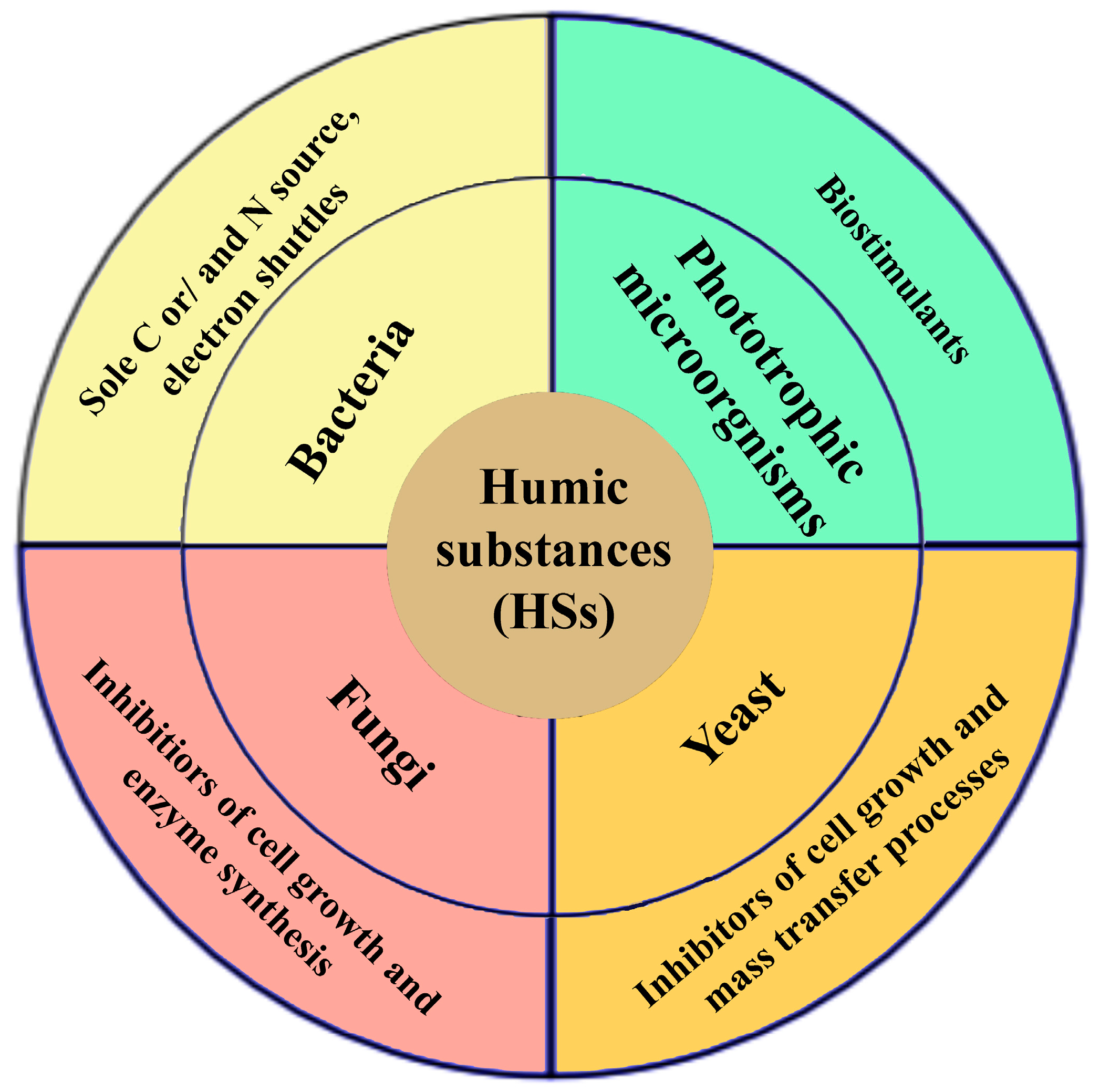 Microorganisms 12 02024 g003