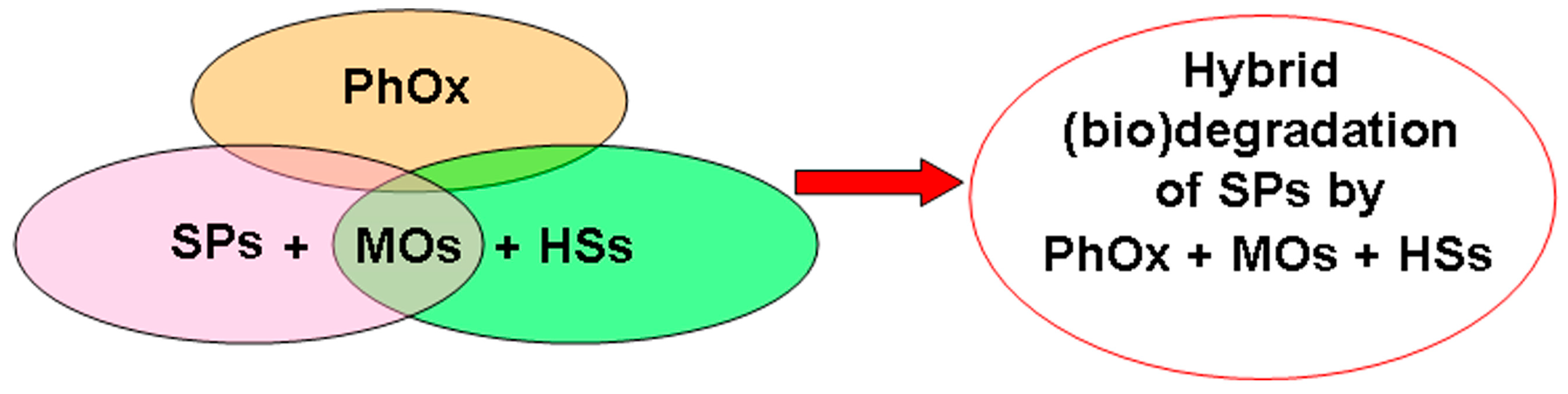 Microorganisms 12 02024 g005