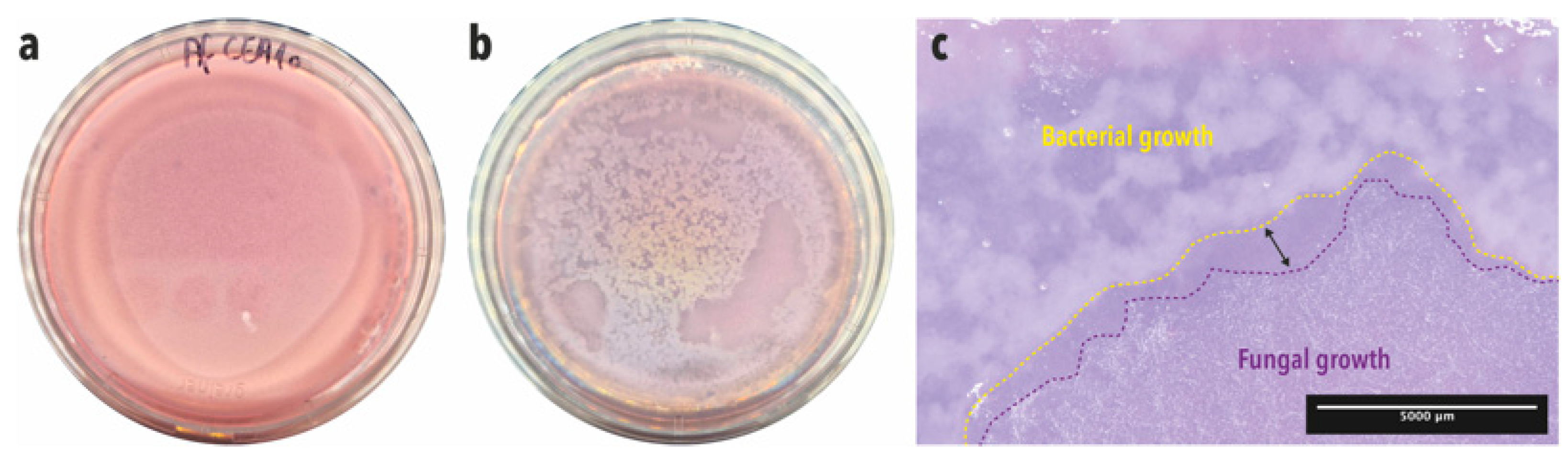 Microorganisms 12 02025 g002 Microorganisms 12 02025 g002