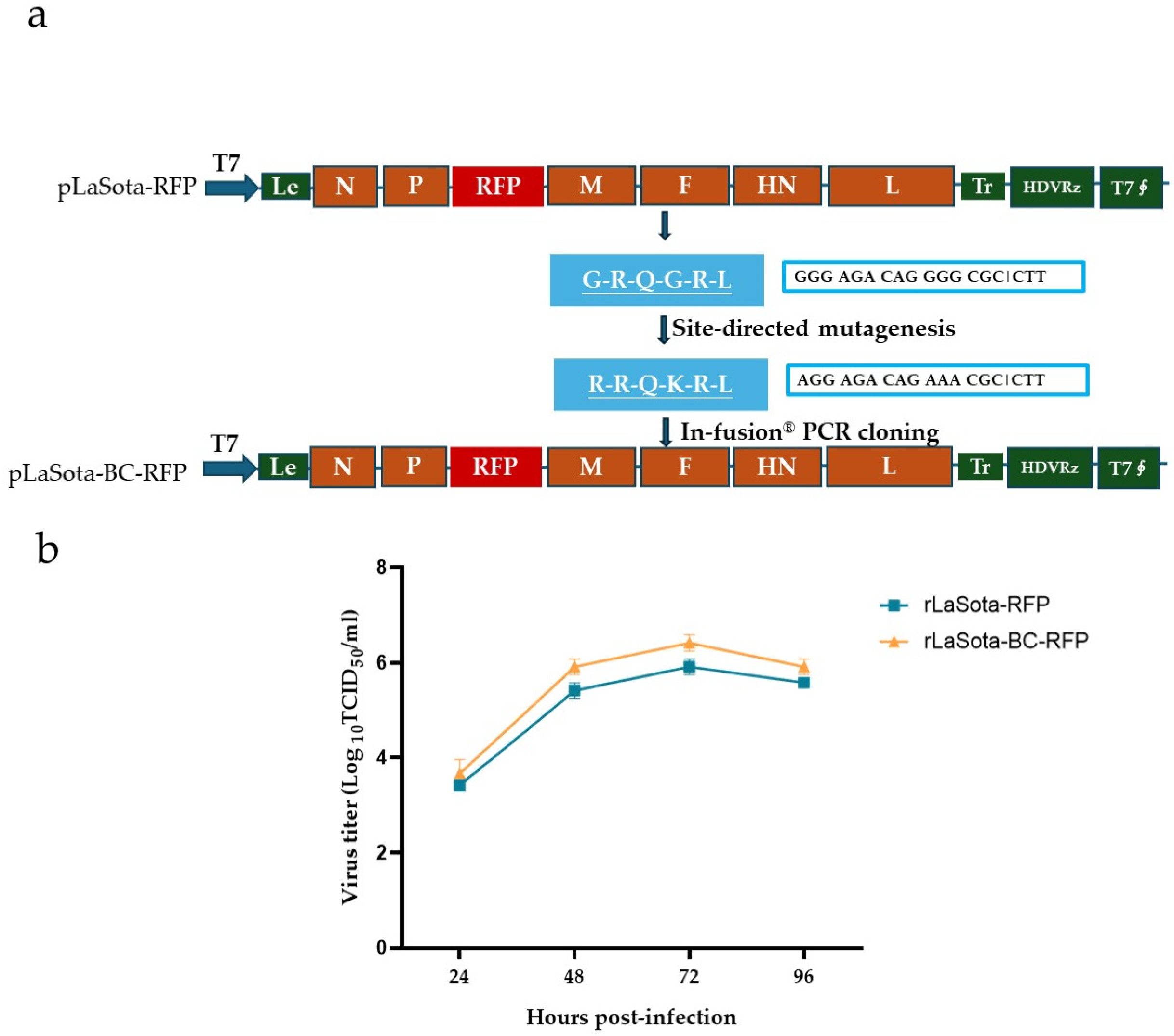 Microorganisms 12 02029 g001