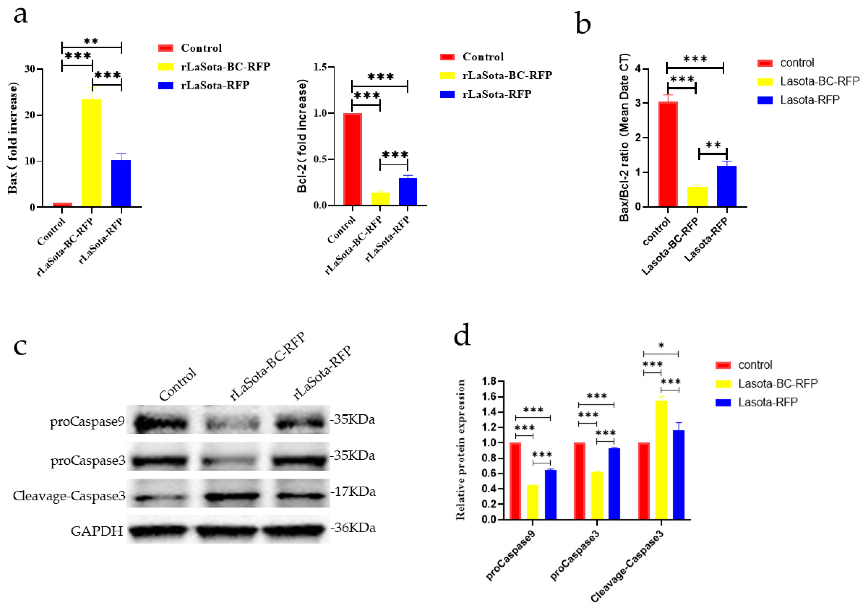 Microorganisms 12 02029 g003