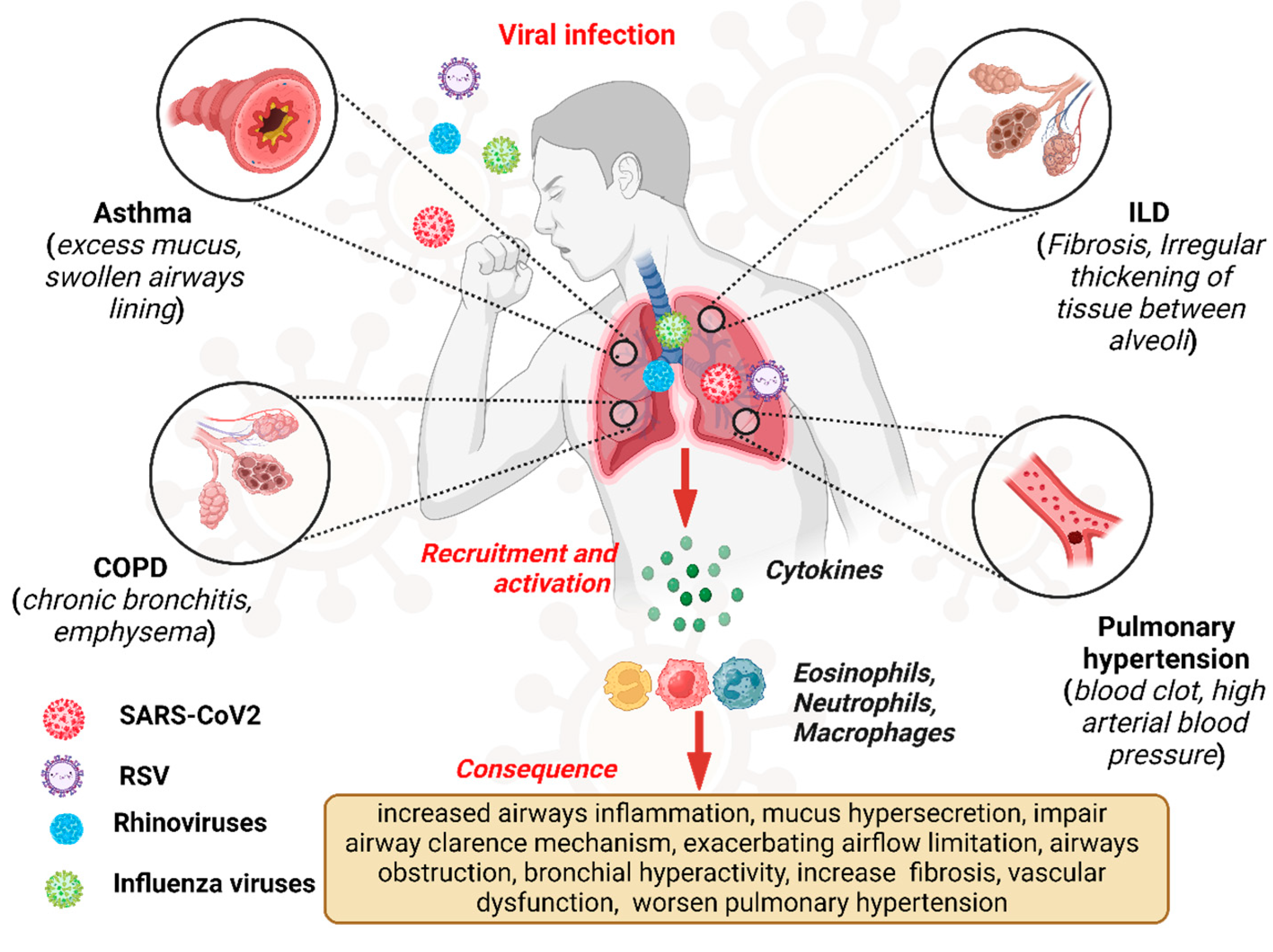 Microorganisms 12 02030 g001