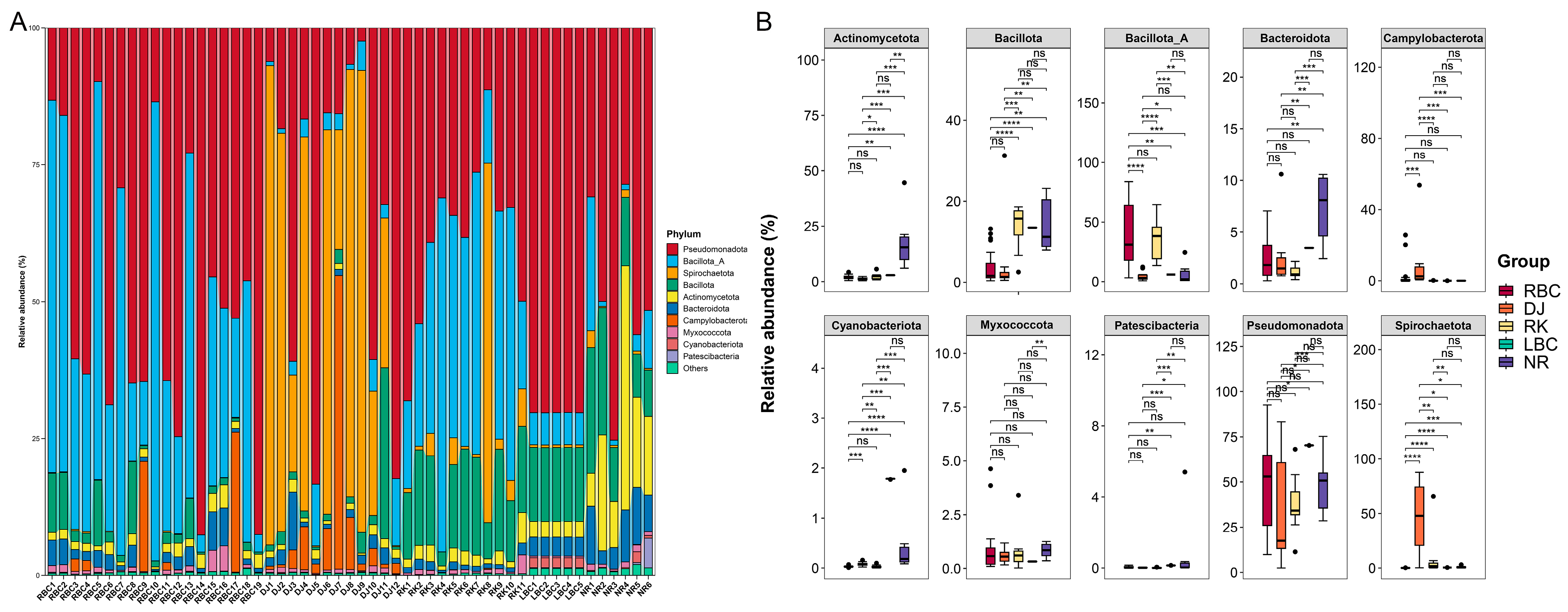 Microorganisms 12 02033 g002