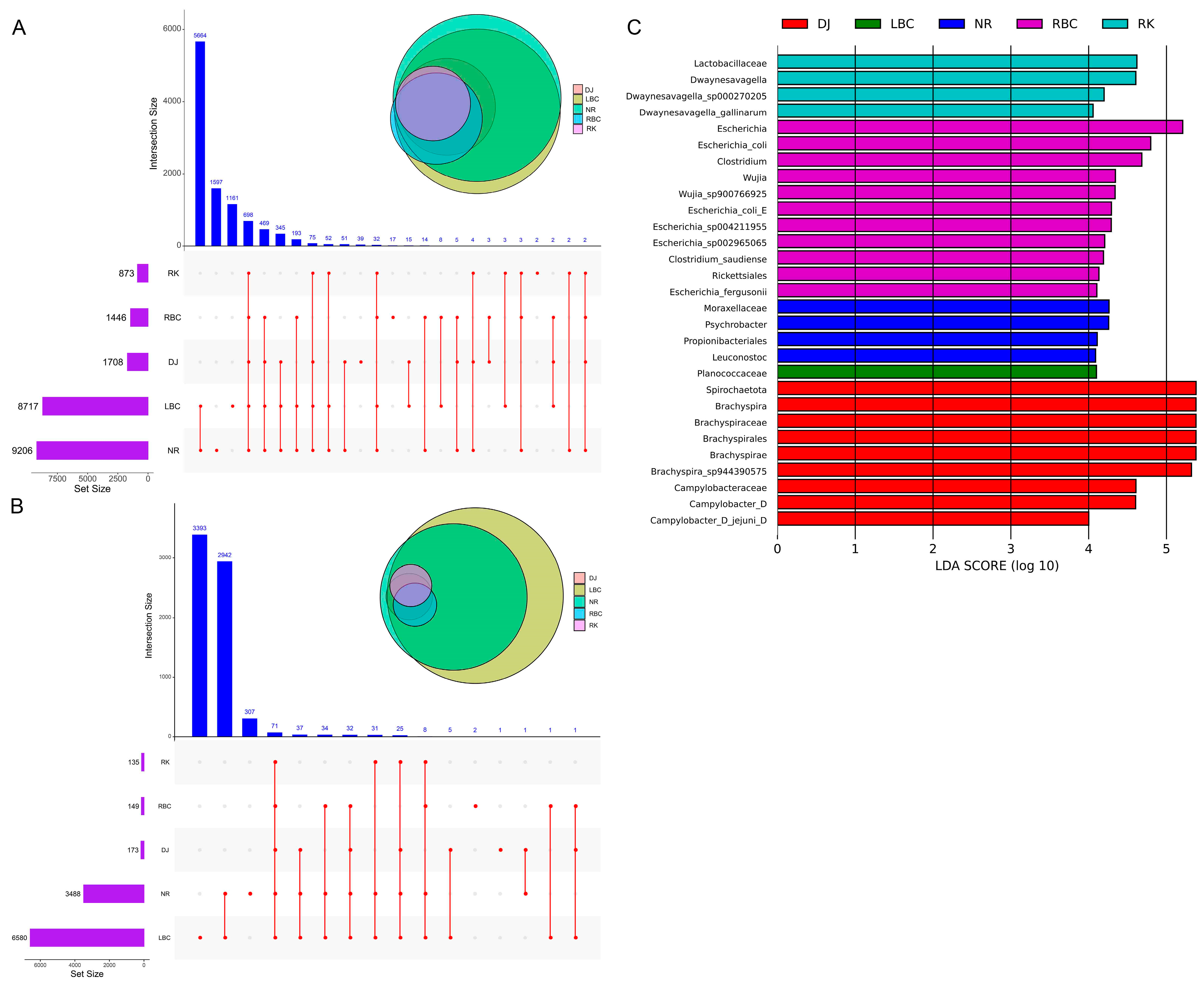 Microorganisms 12 02033 g004