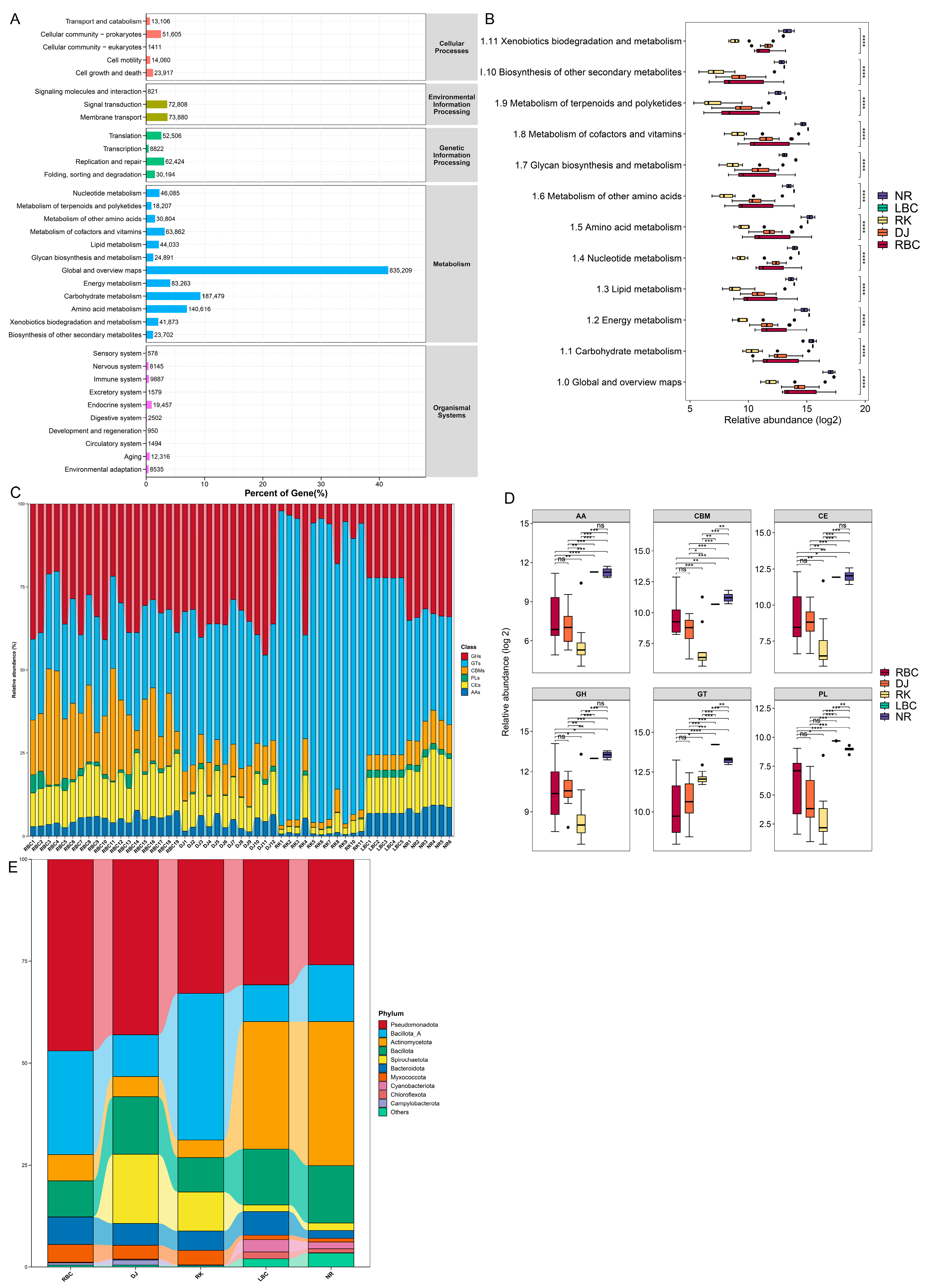 Microorganisms 12 02033 g006