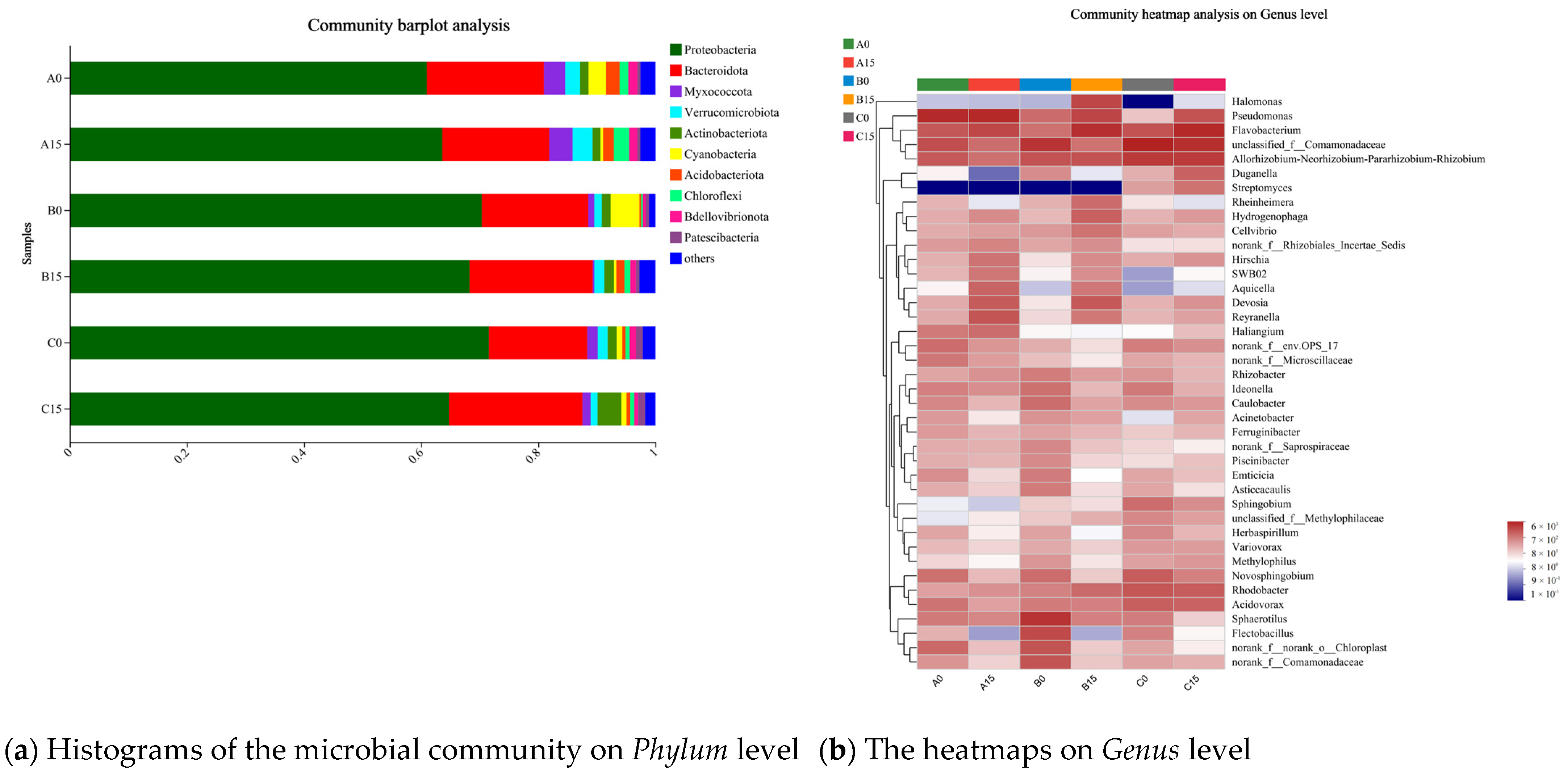 Microorganisms 12 02035 g012