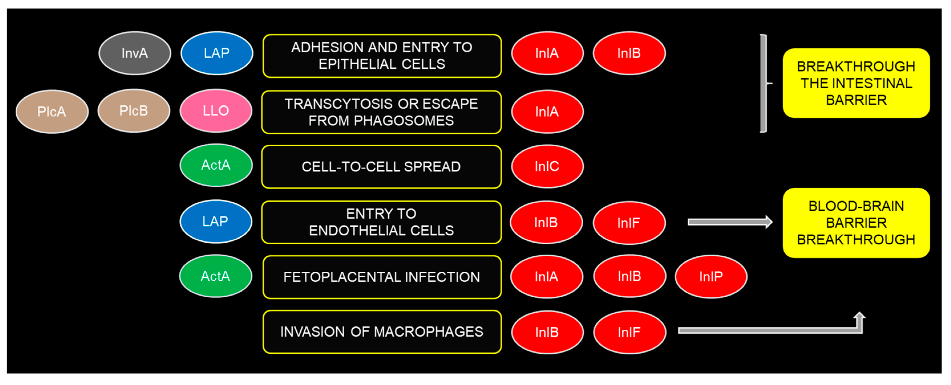 Microorganisms 12 02055 g002 Microorganisms 12 02055 g002