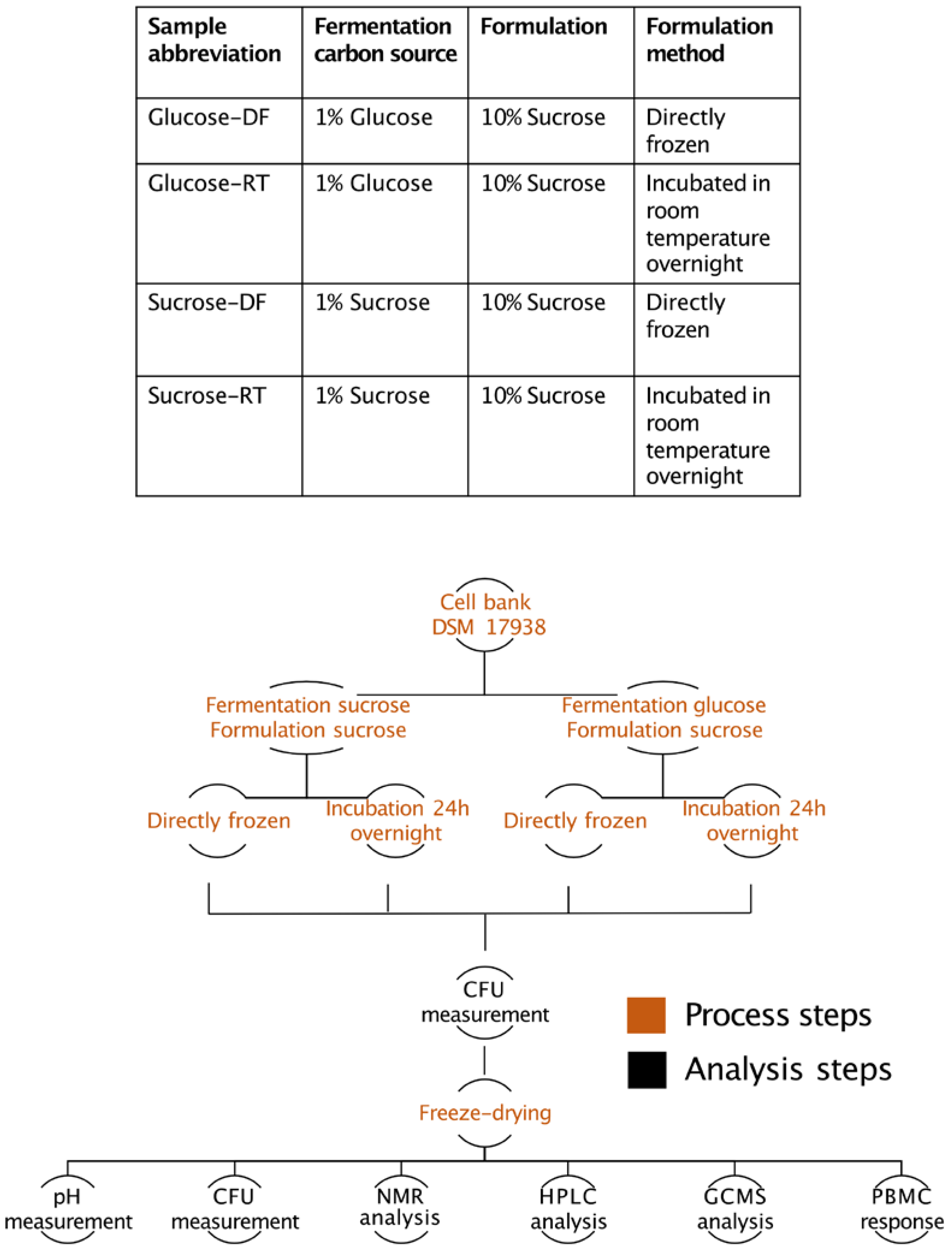 Microorganisms 12 02058 g001