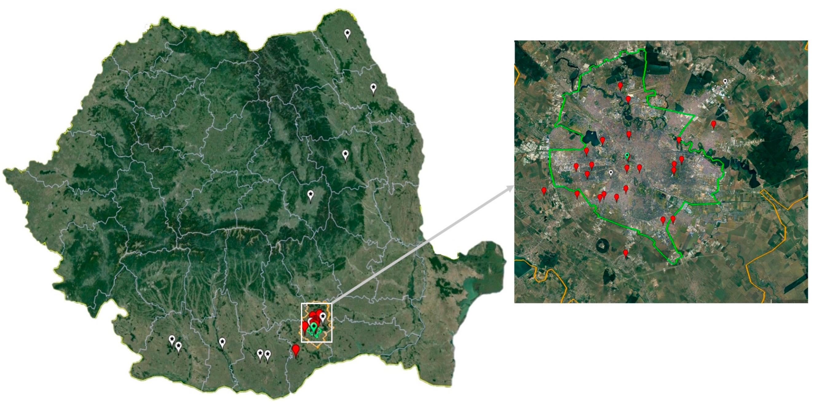 Microorganisms 12 02080 g001