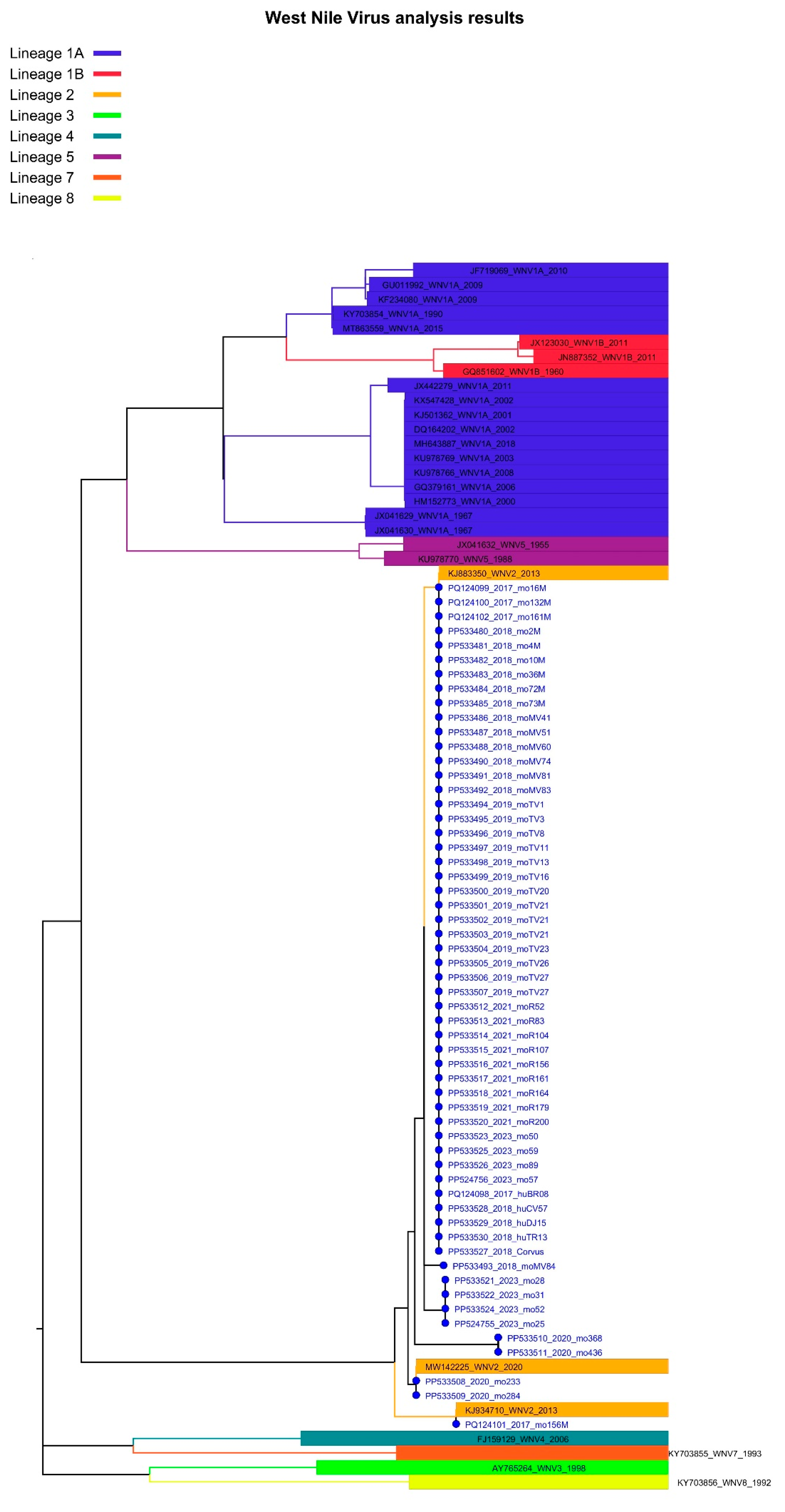Microorganisms 12 02080 g003