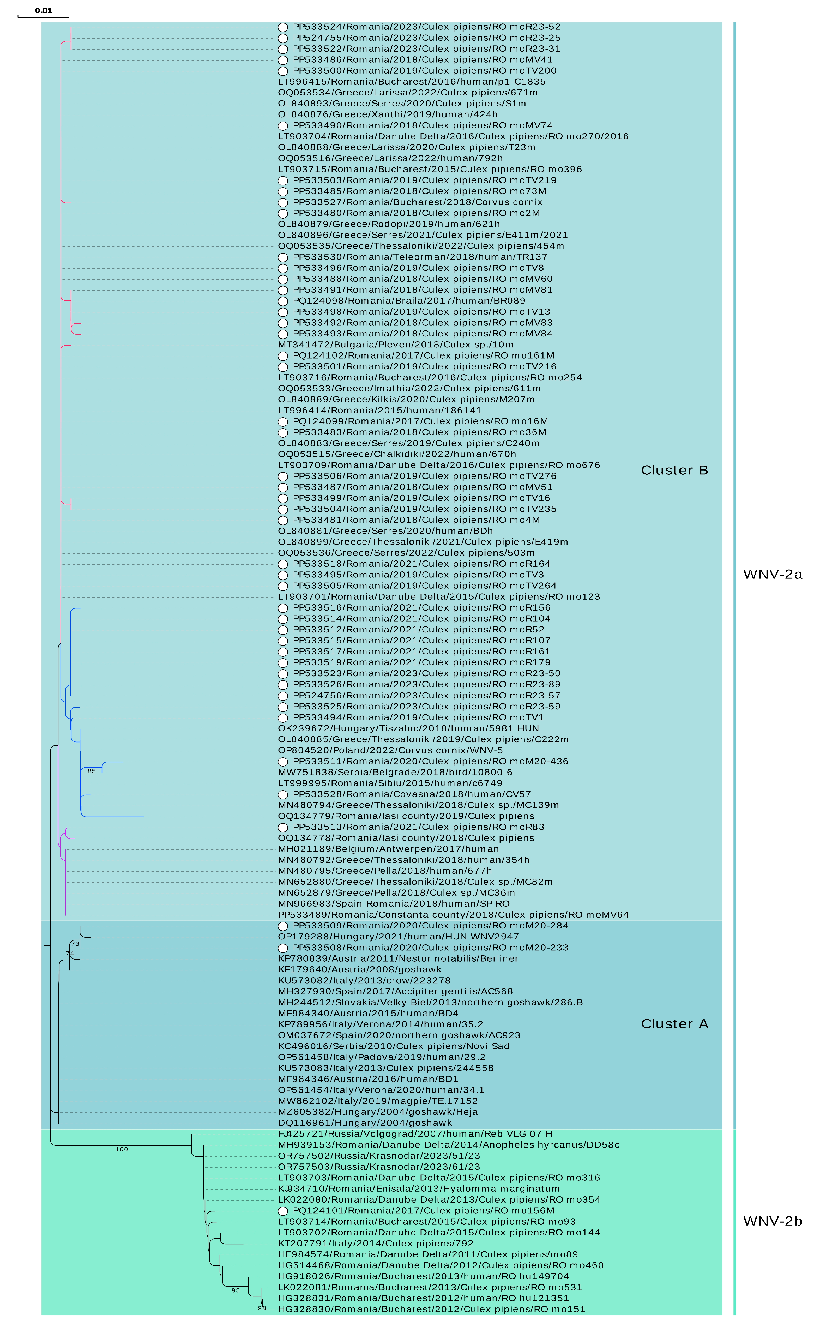 Microorganisms 12 02080 g004