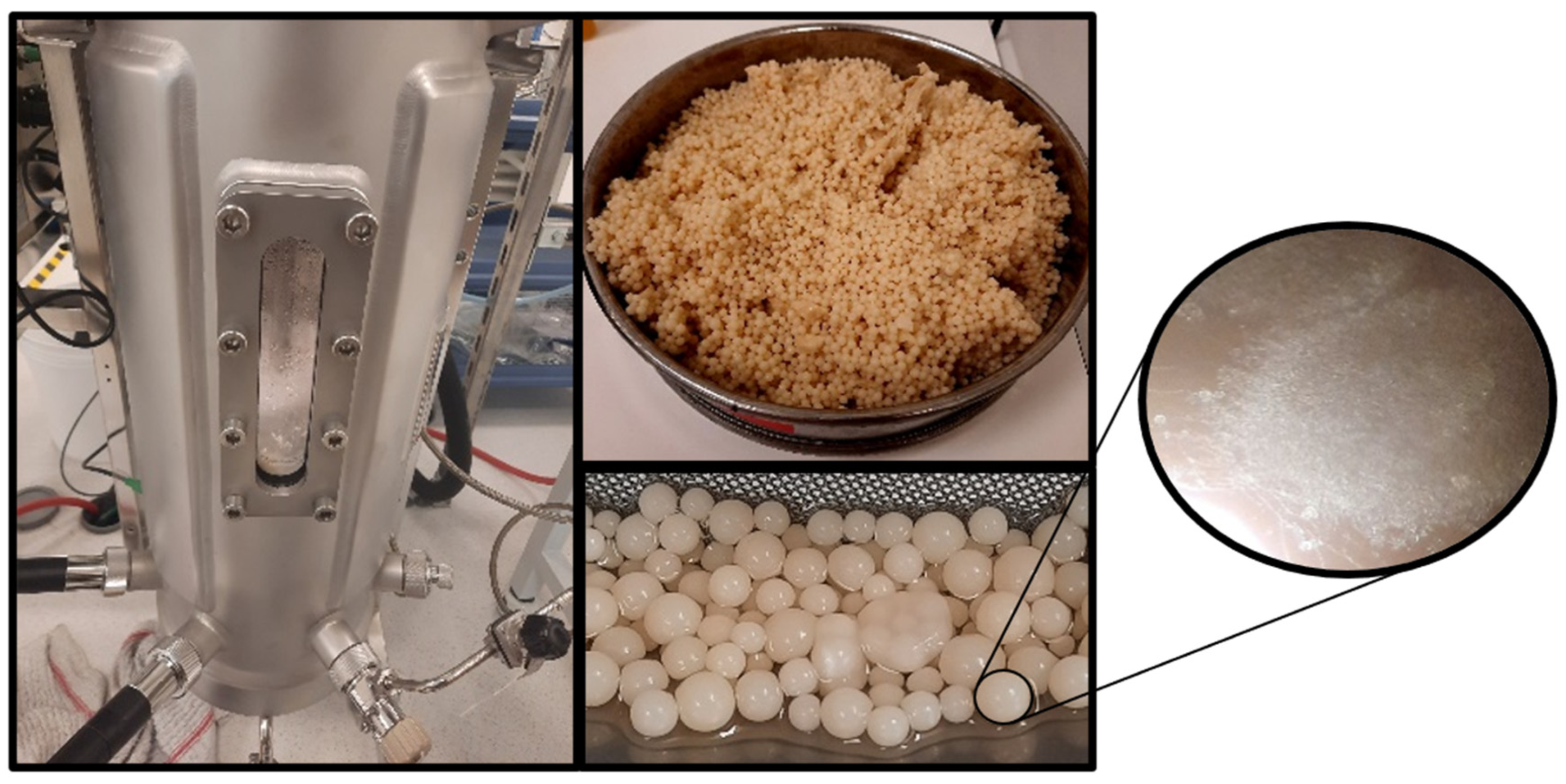 Microorganisms 12 02097 g004