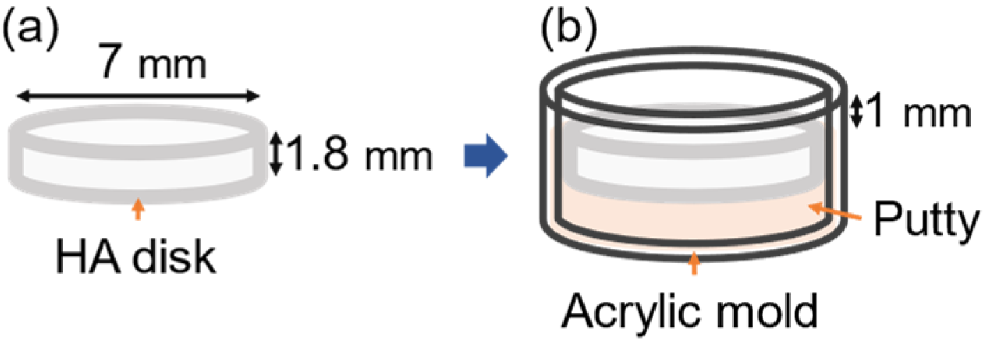 Microorganisms 12 02098 g001
