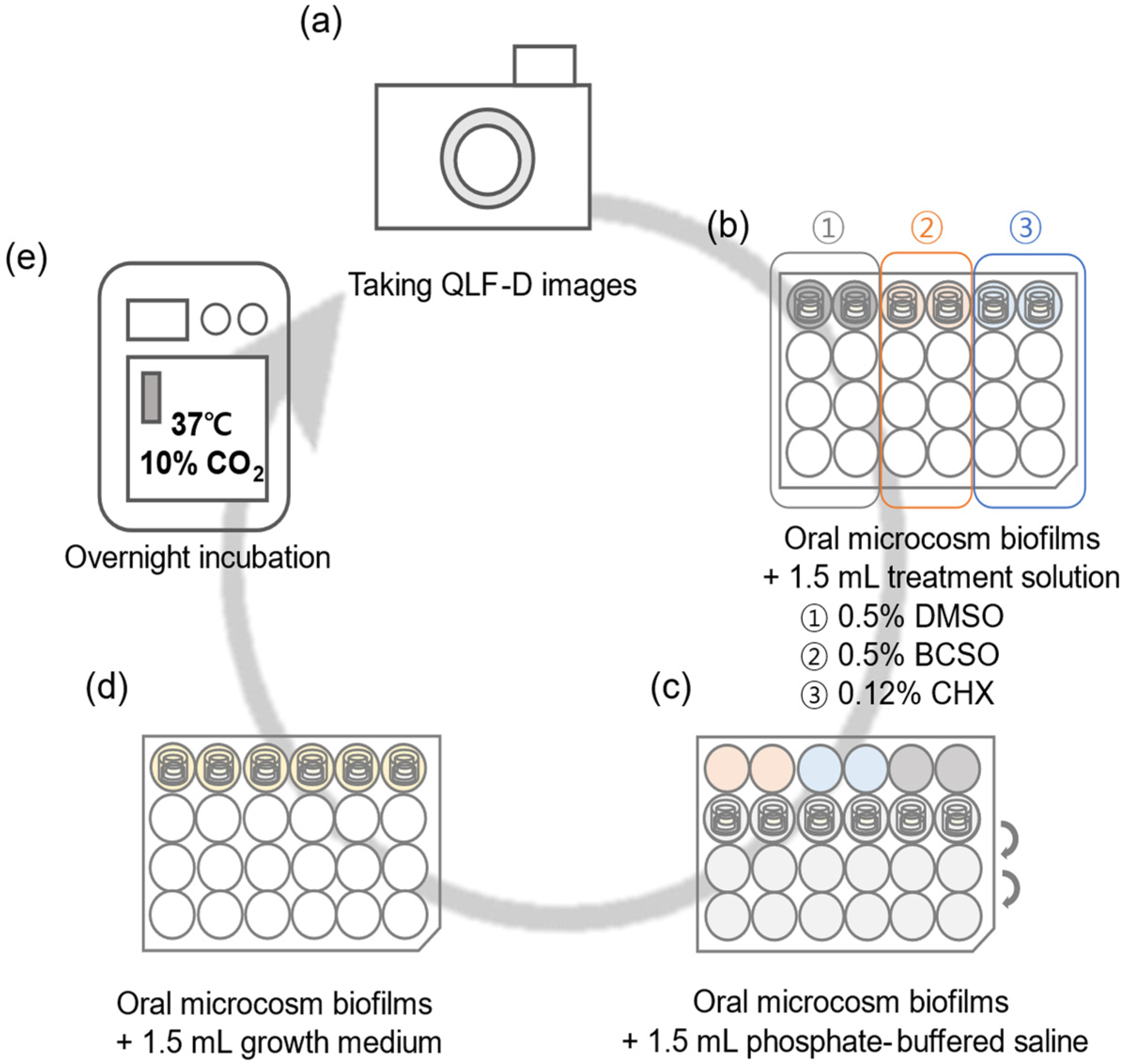 Microorganisms 12 02098 g002