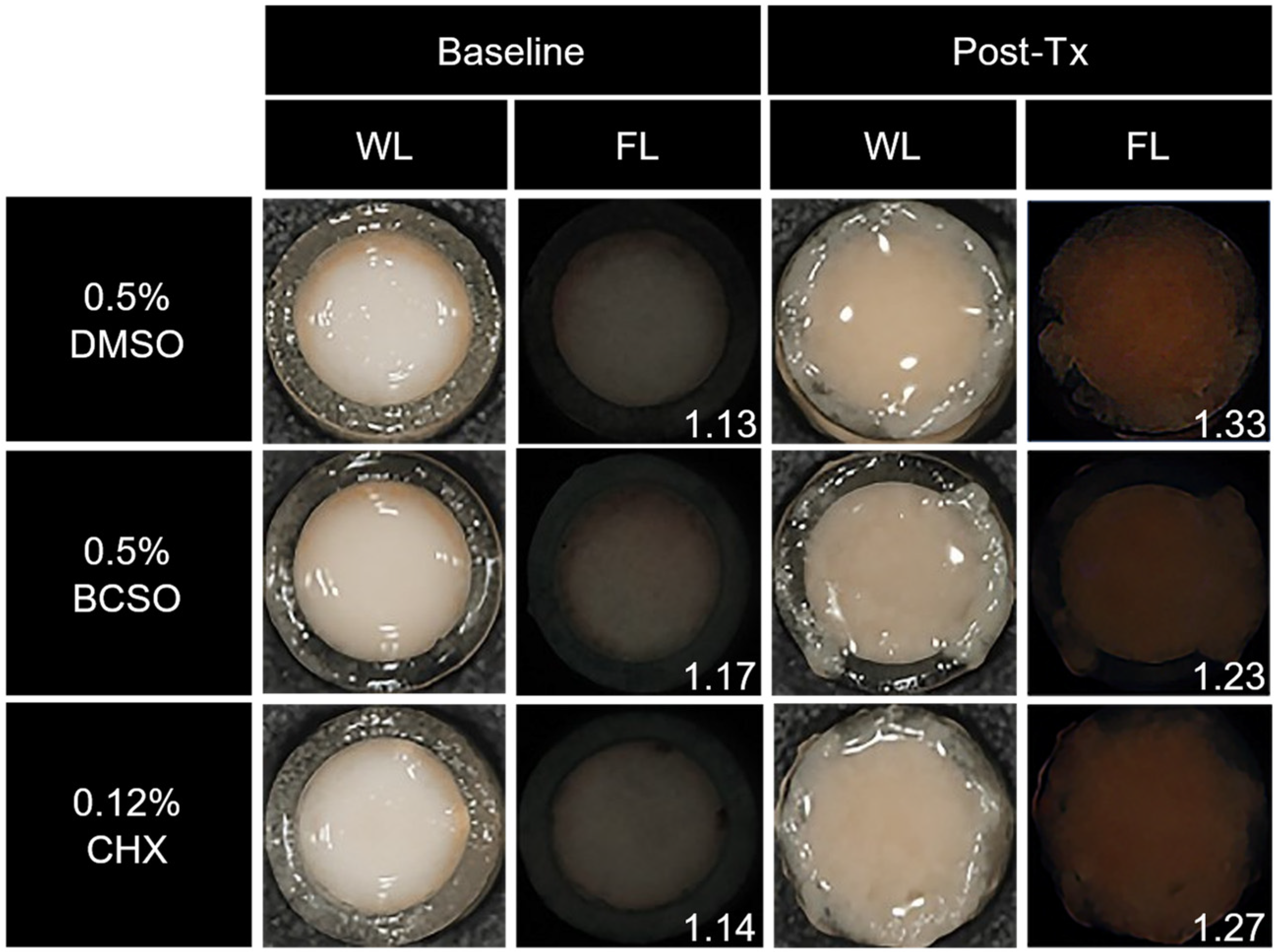 Microorganisms 12 02098 g005
