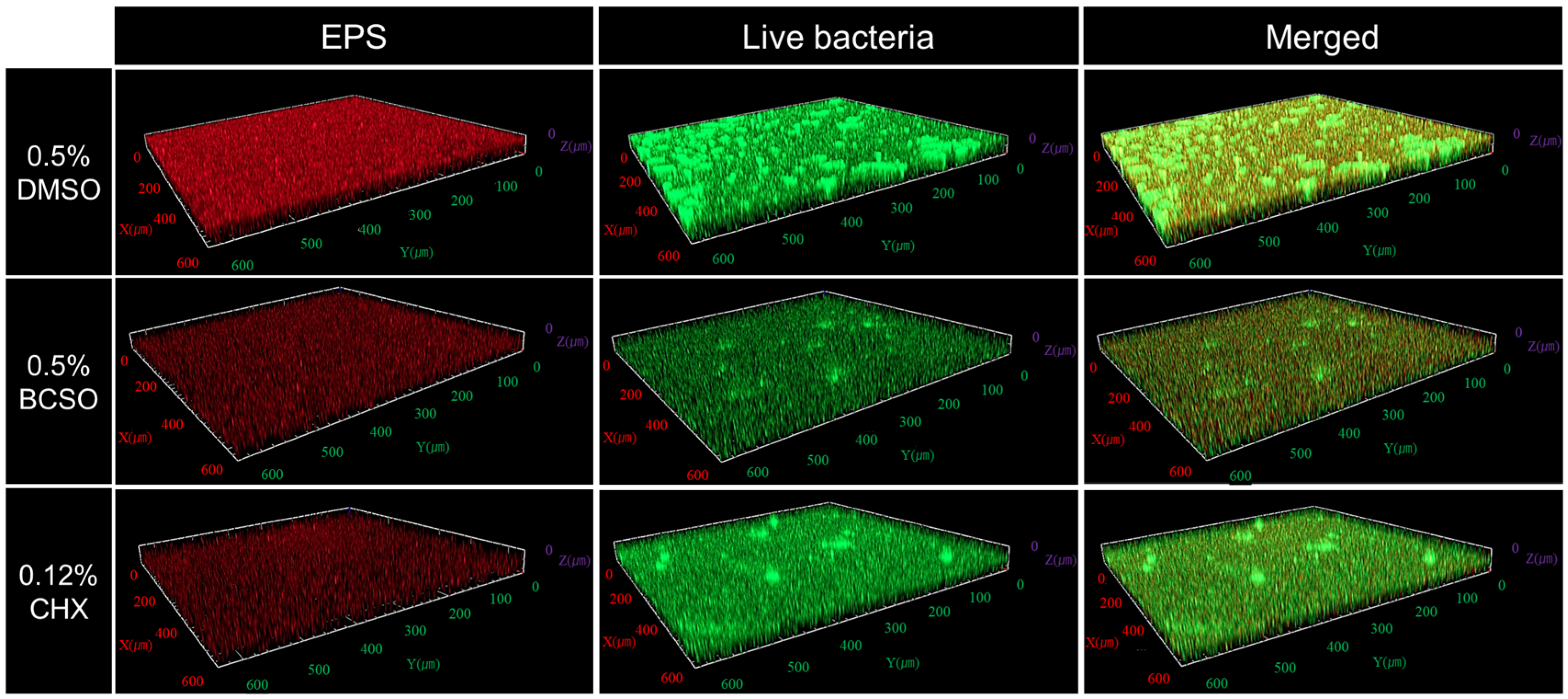 Microorganisms 12 02098 g006
